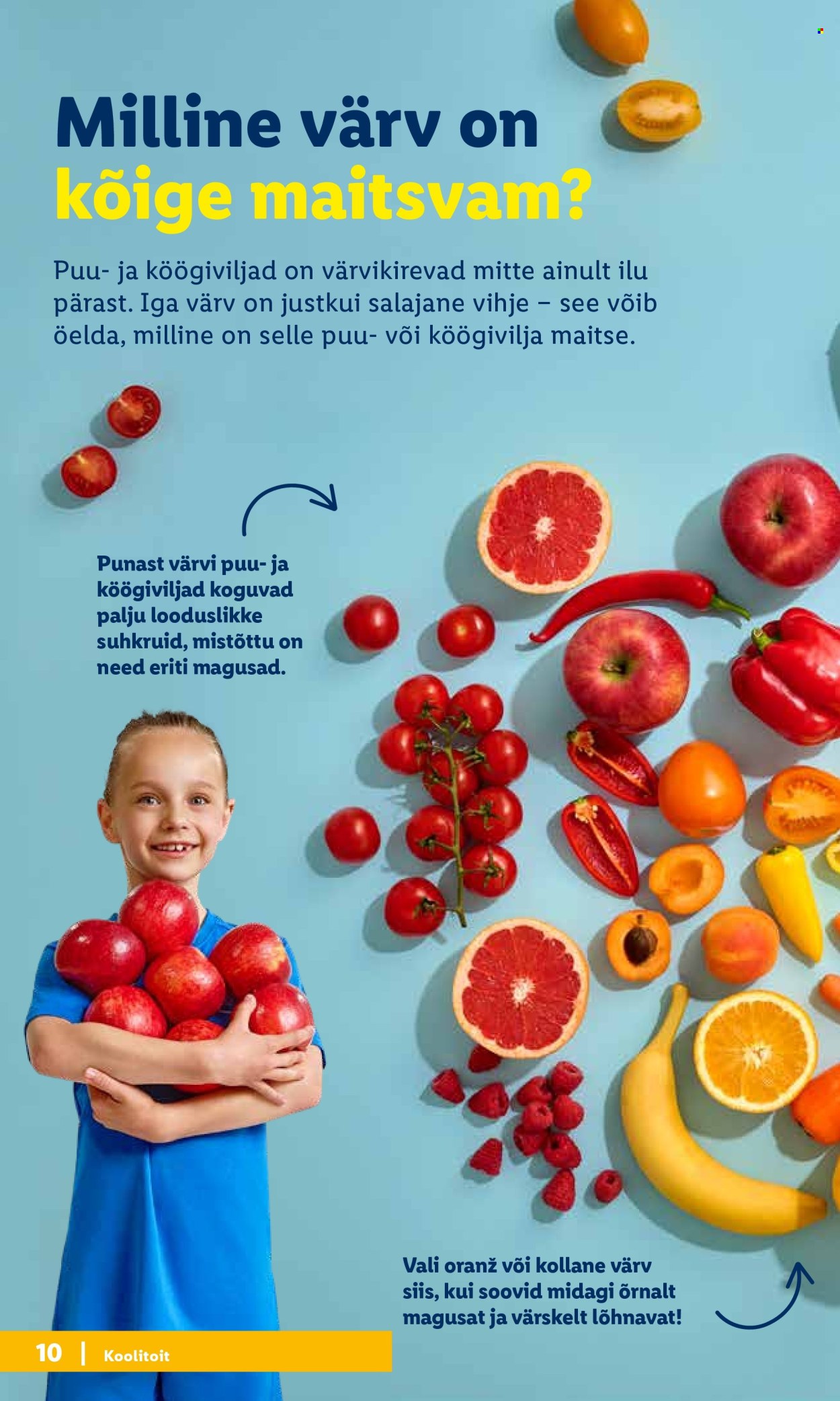 Lidl kliendileht