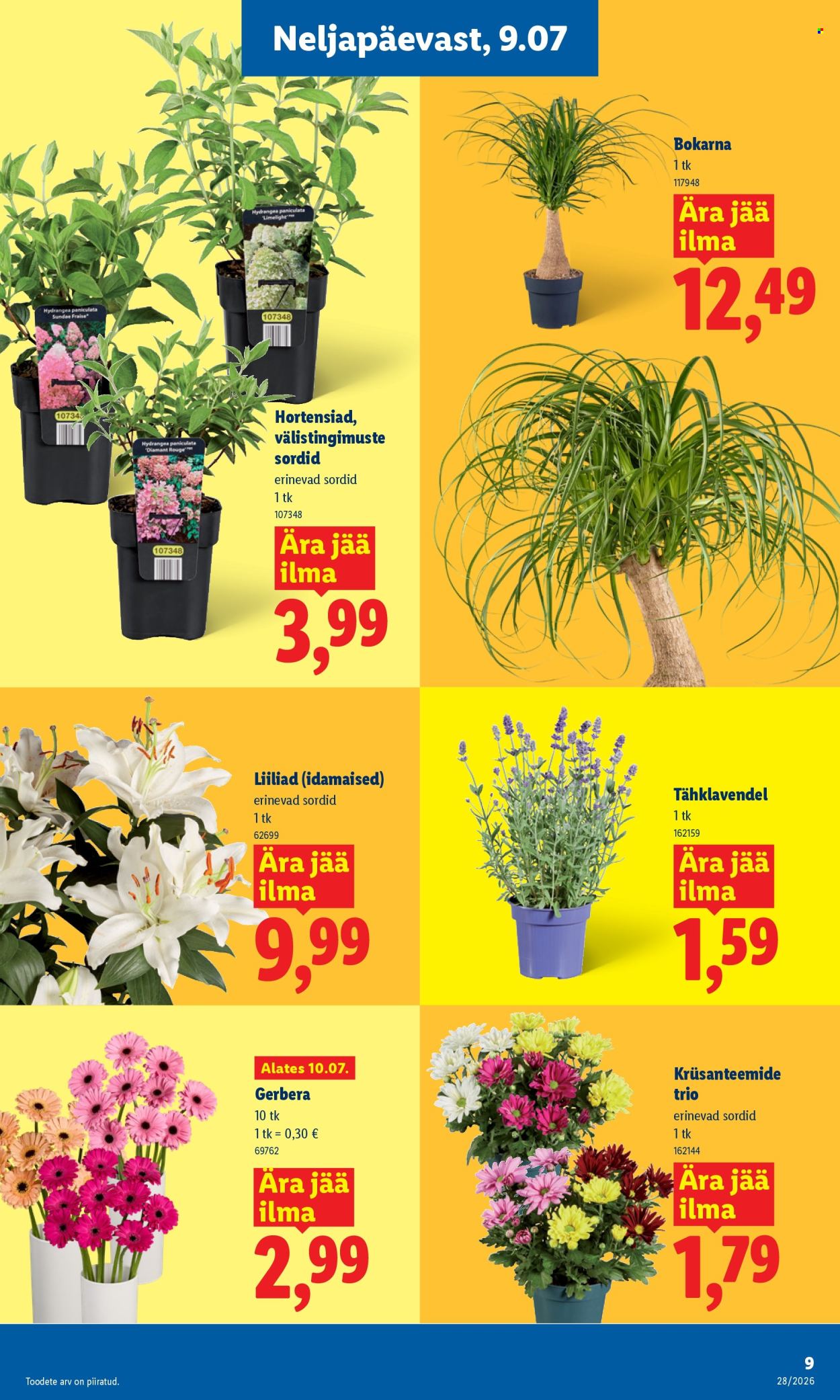 Lidl kliendileht (6.07 - 12.07.2026)
