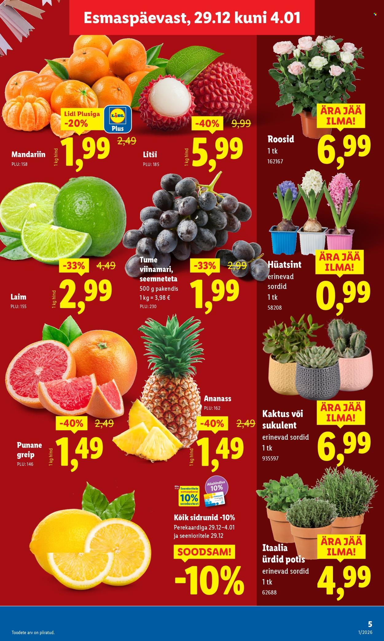 Lidl kliendileht - Kliendileht (29.12.2025 - 4.01.2026)