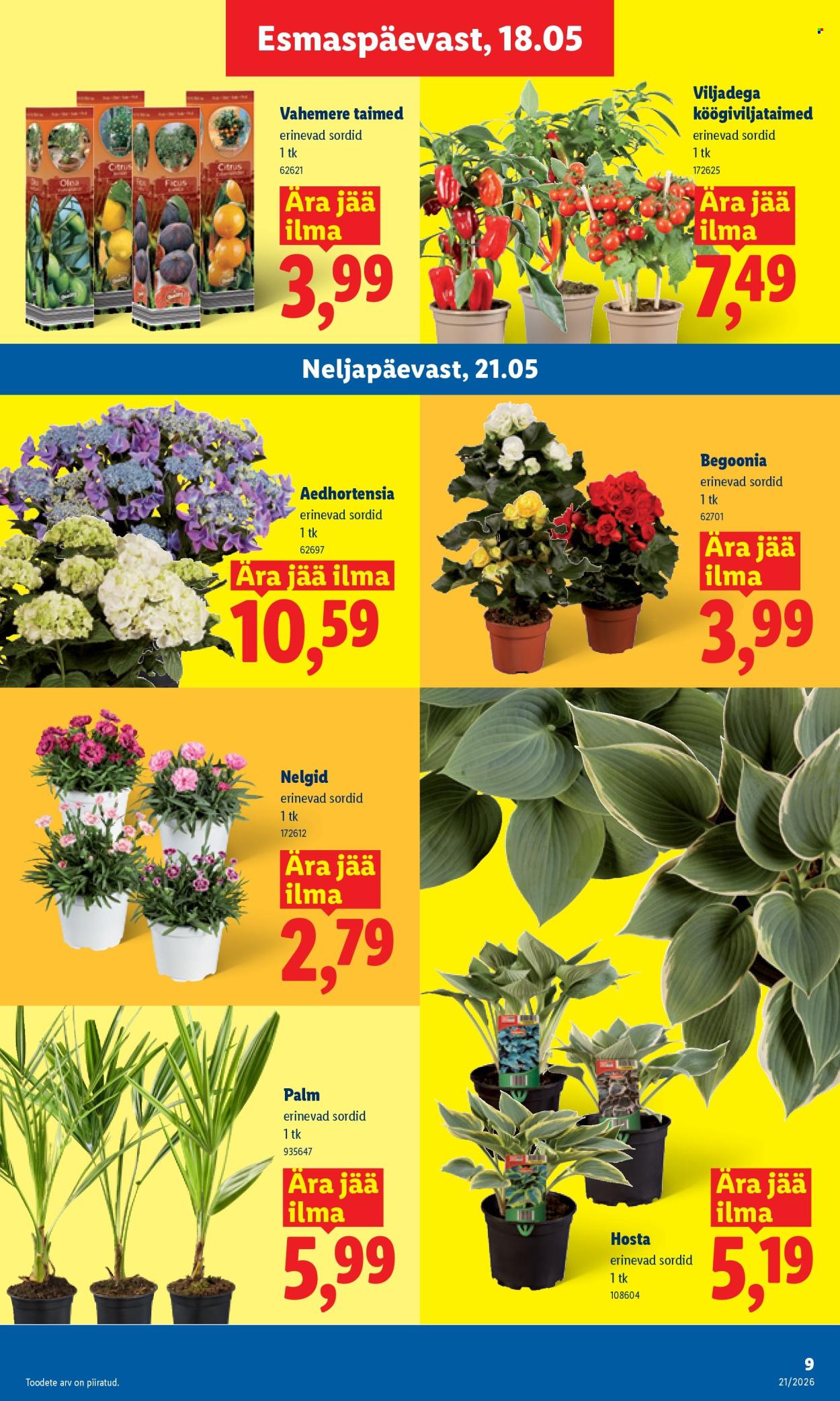 Lidl kliendileht - Kliendileht (18.05 - 24.05.2026)
