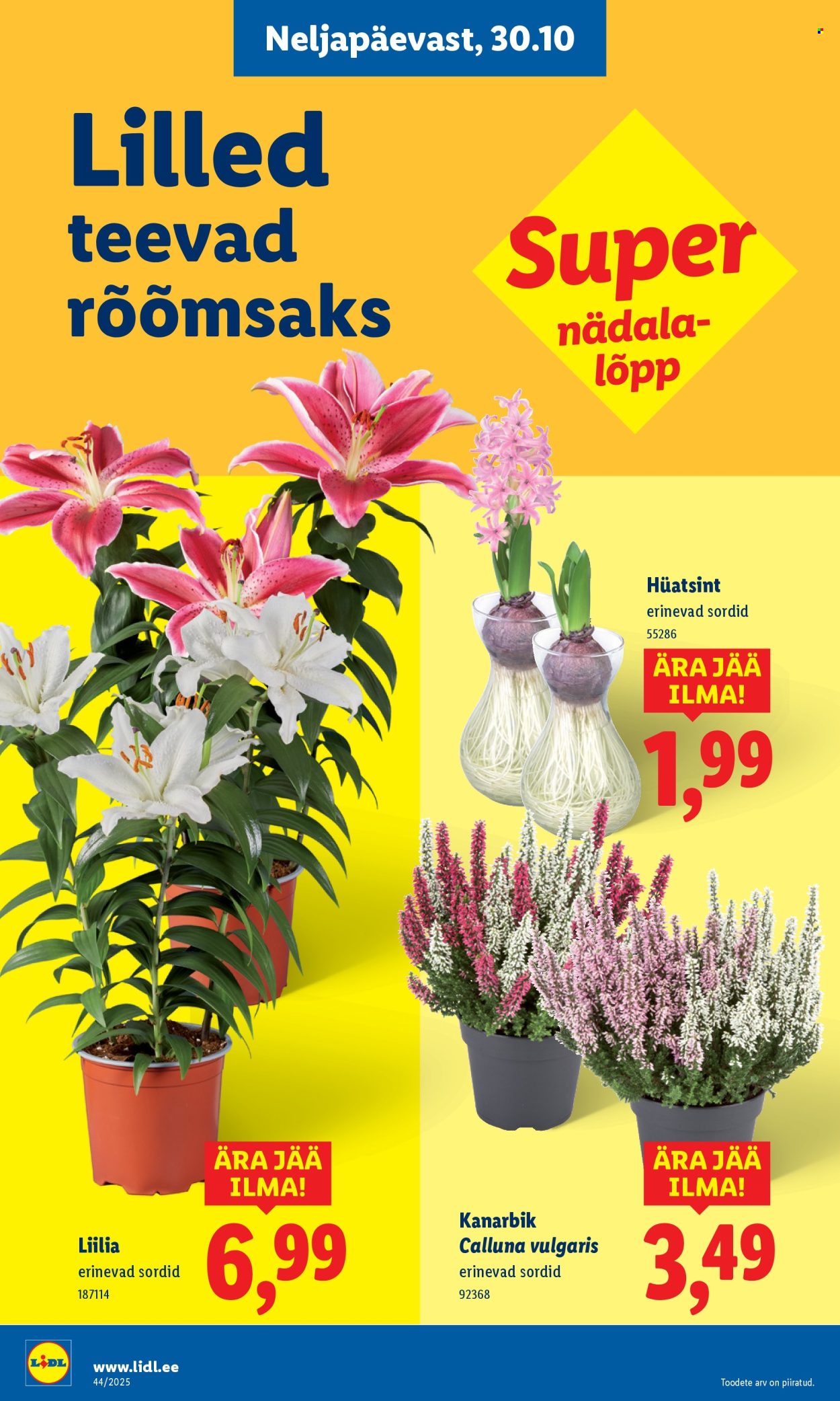 Lidl kliendileht - Nädalalõpu pakkumised (30.10 - 2.11.2025)