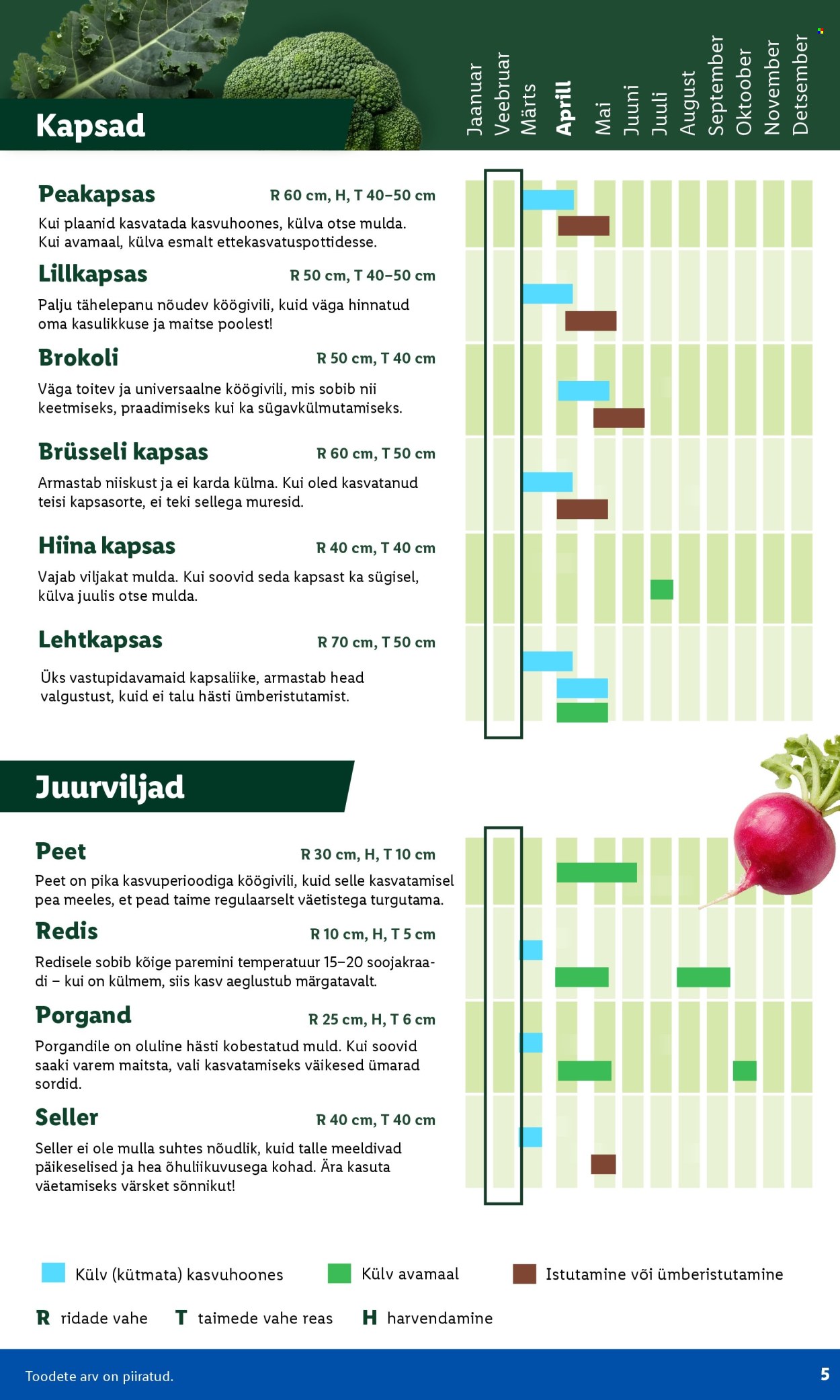 Lidl kliendileht - Aiakataloog Alates