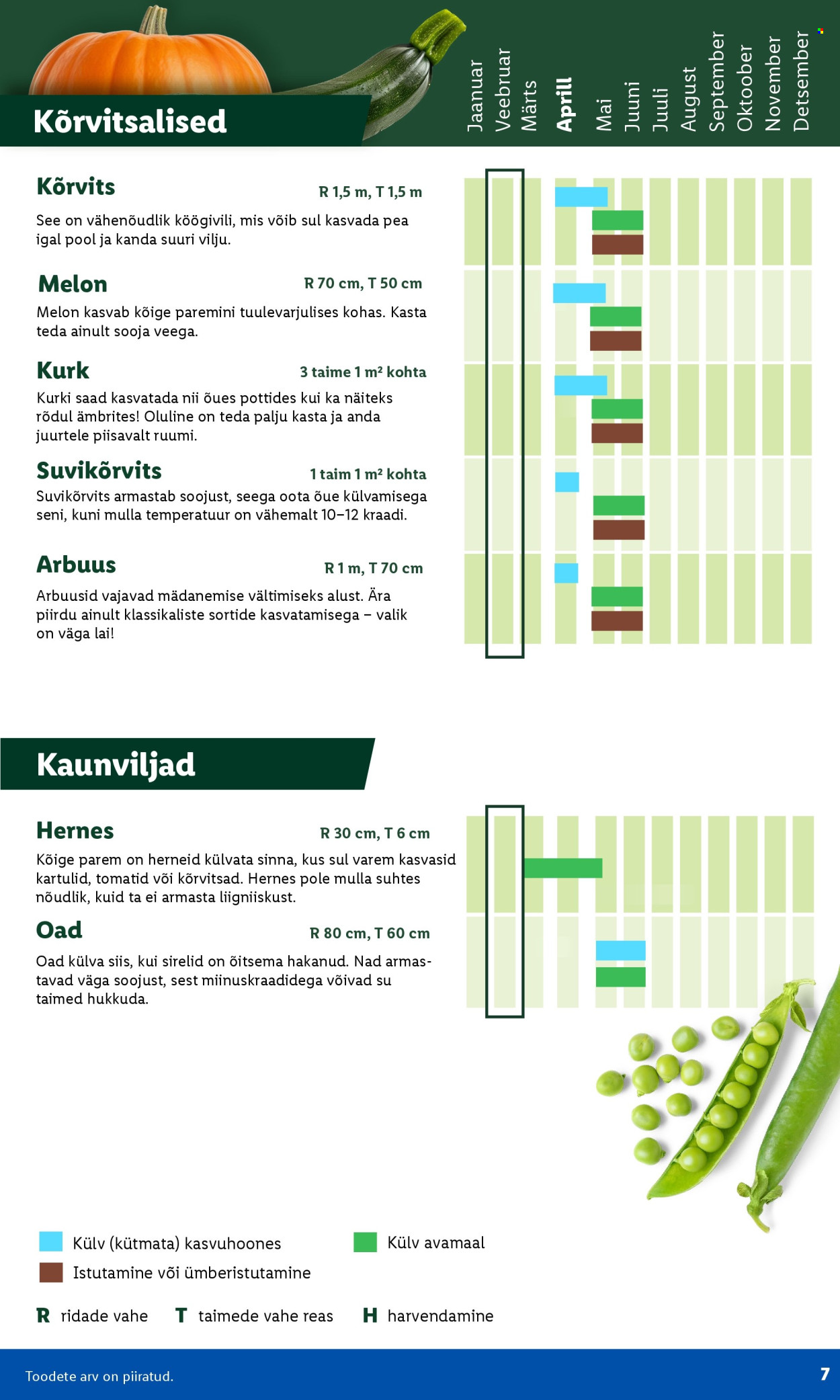 Lidl kliendileht - Aiakataloog Alates