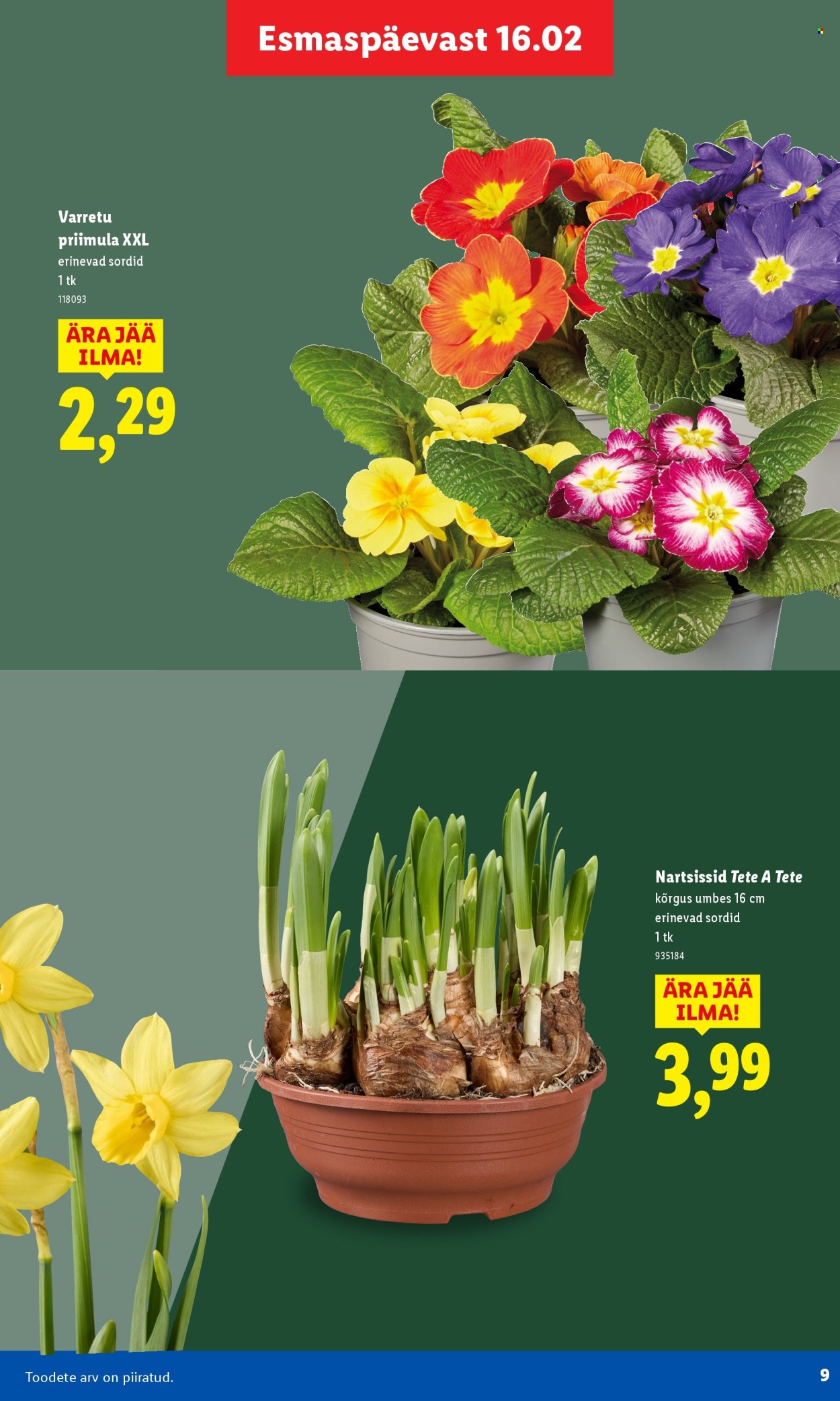 Lidl kliendileht - Aiakataloog Alates