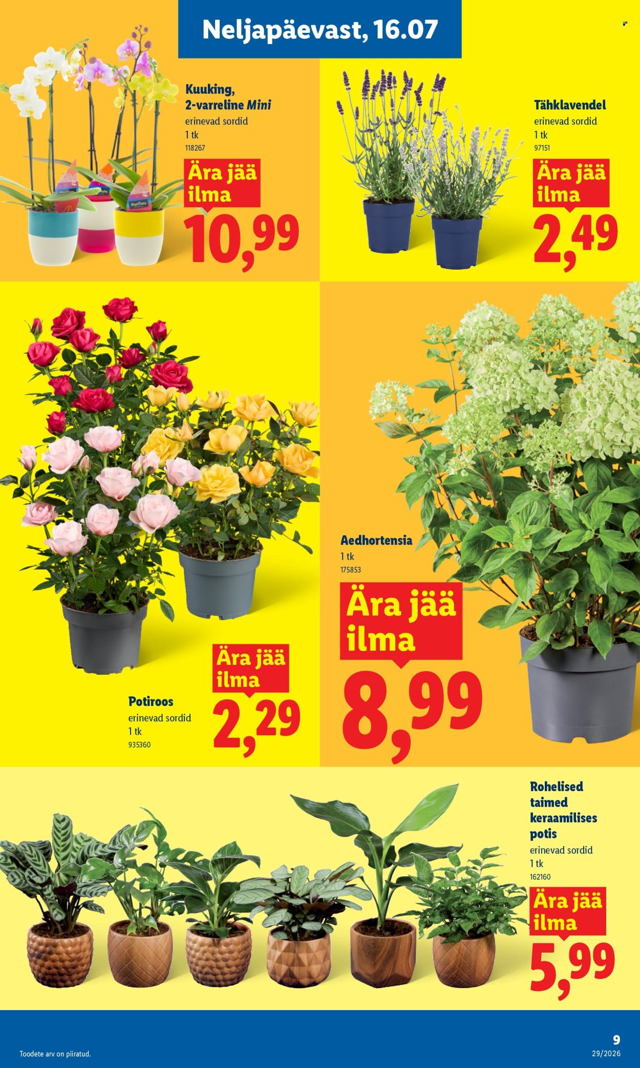Lidl kliendileht (13.07 - 19.07.2026)