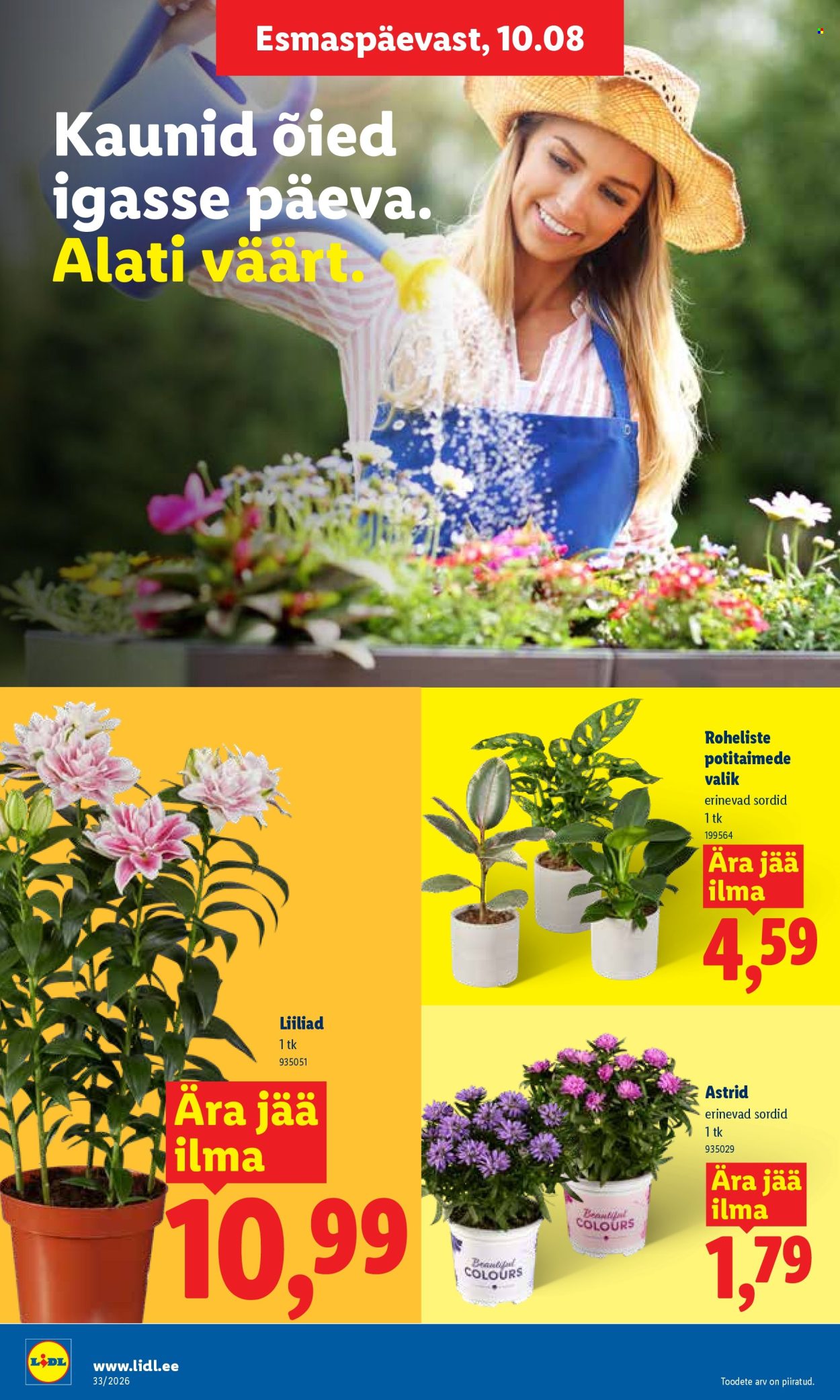 Lidl kliendileht (10.08 - 16.08.2026)