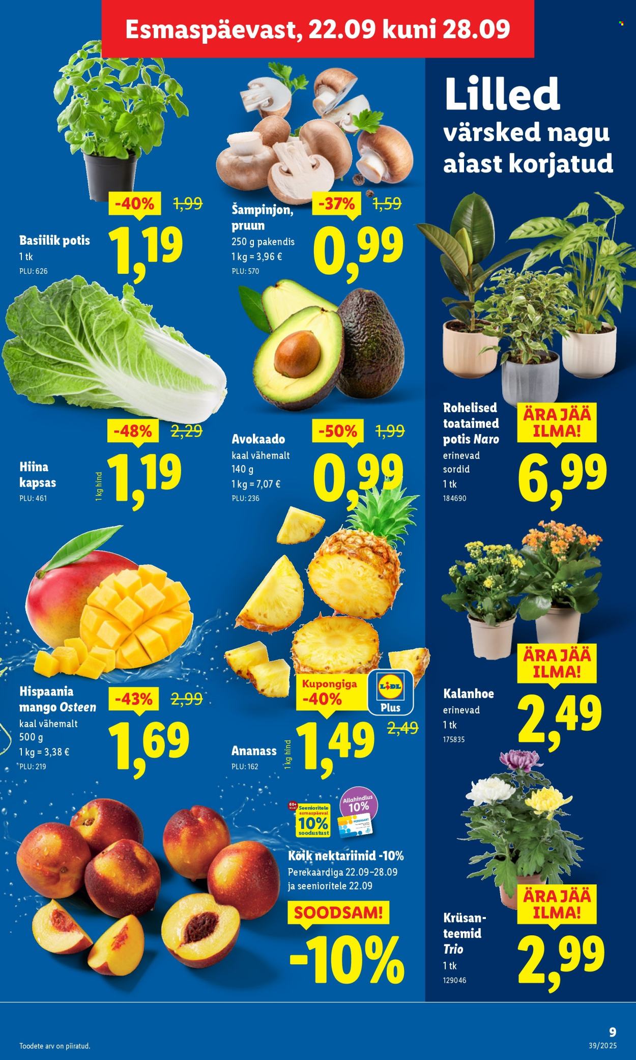 Lidl kliendileht - Kliendileht (22.09 - 28.09.2025)