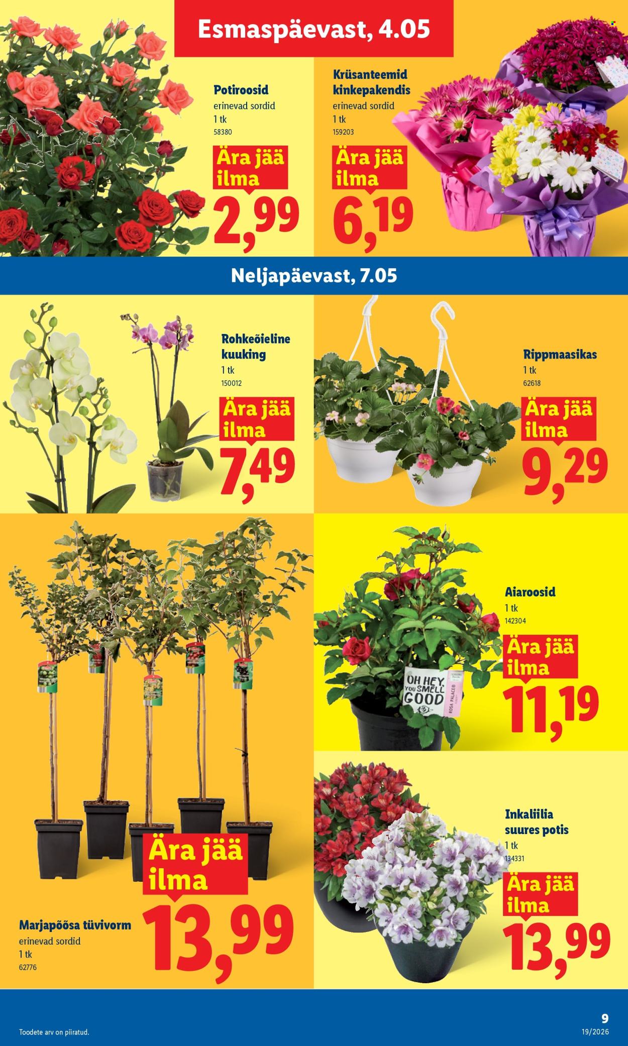 Lidl kliendileht - Kliendileht (4.05 - 10.05.2026)