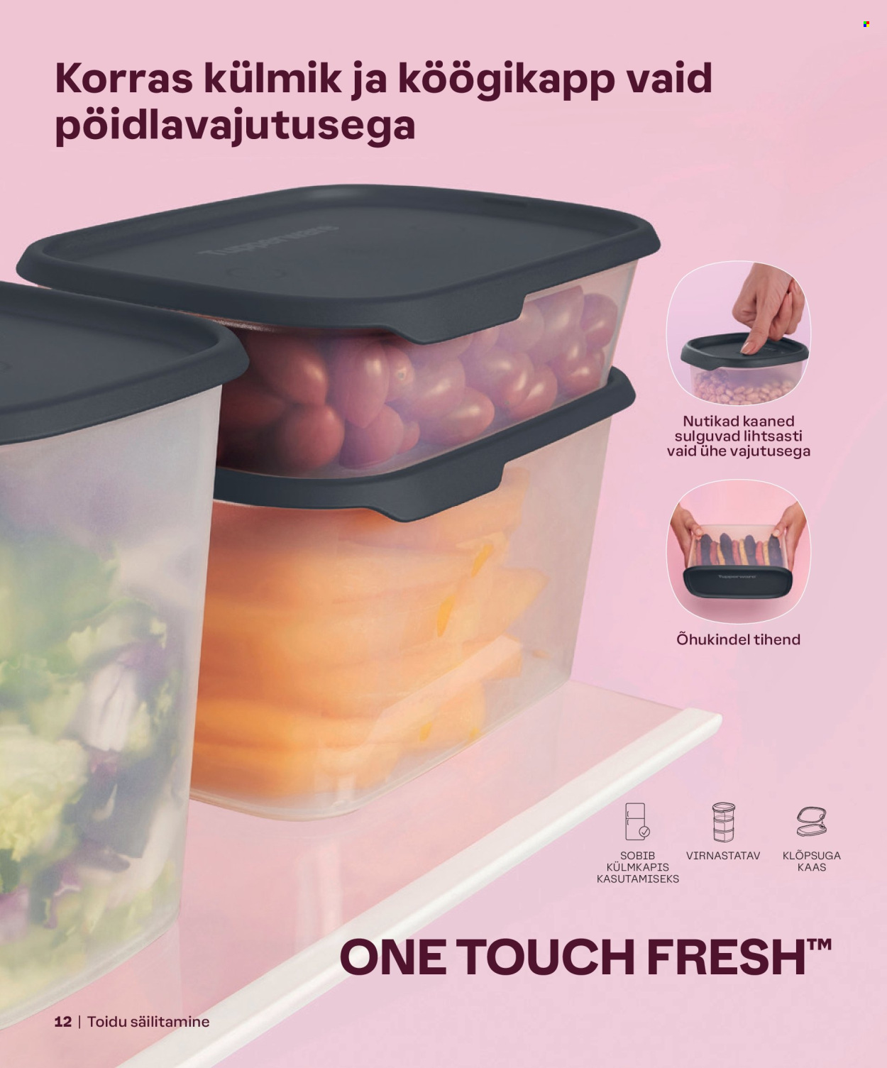 Tupperware kliendileht - KEVAD & SUVI 2024