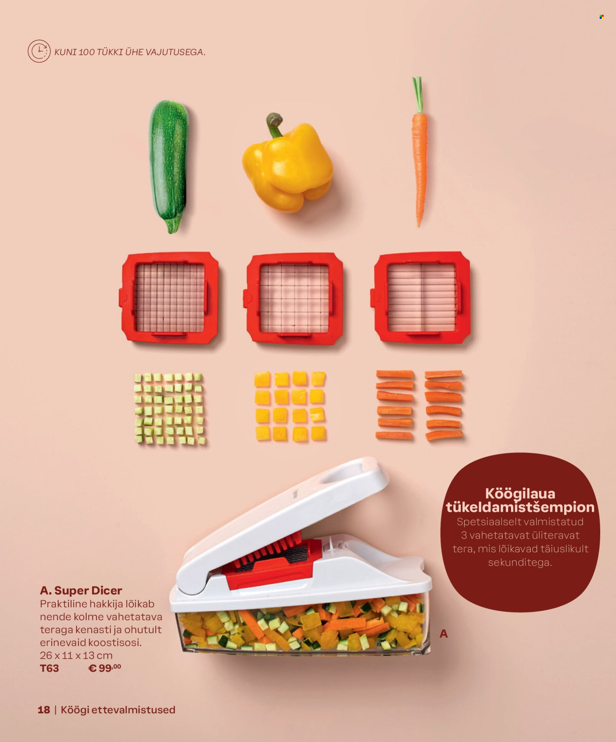 Tupperware kliendileht - KEVAD & SUVI 2024