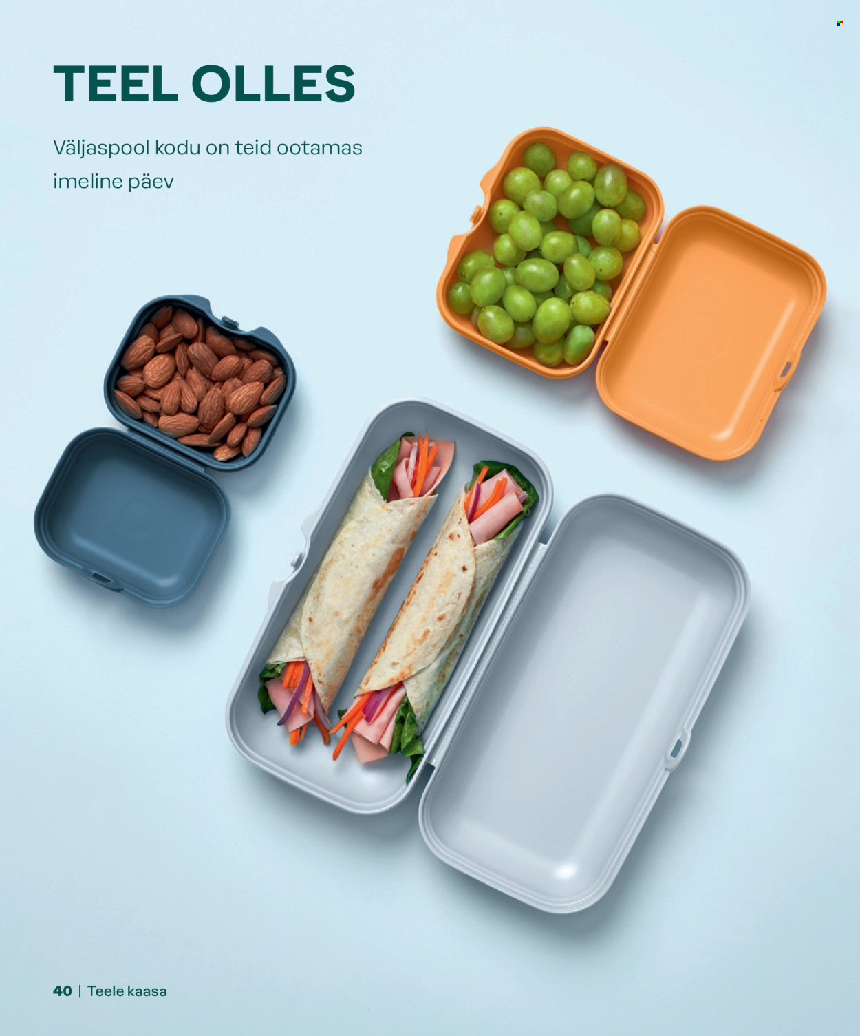 Tupperware kliendileht - KEVAD & SUVI 2024