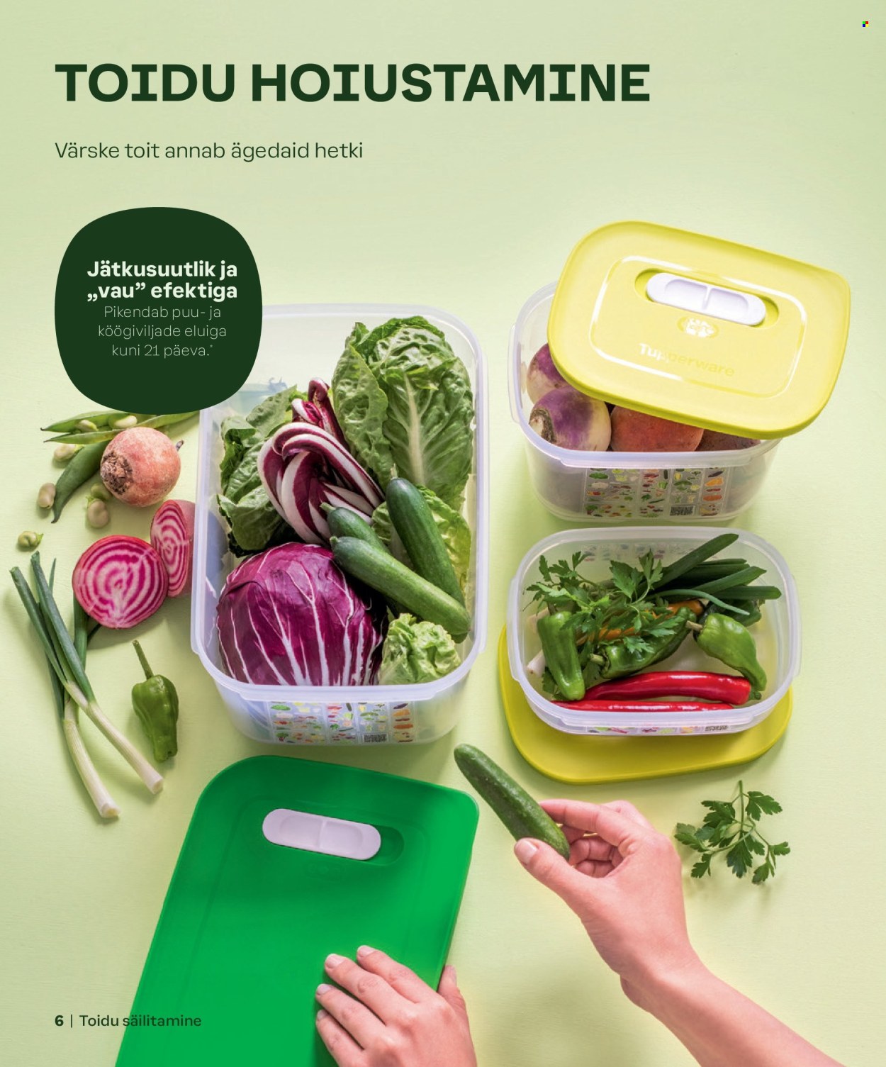 Tupperware kliendileht - KEVAD & SUVI 2024