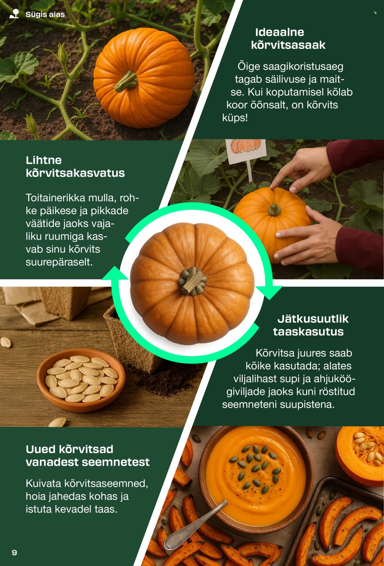Lidl kliendileht - PARKSIDE kataloog