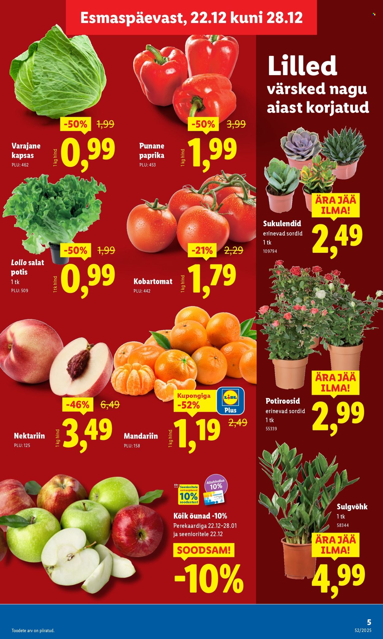 Lidl kliendileht - Kliendileht (22.12 - 28.12.2025)