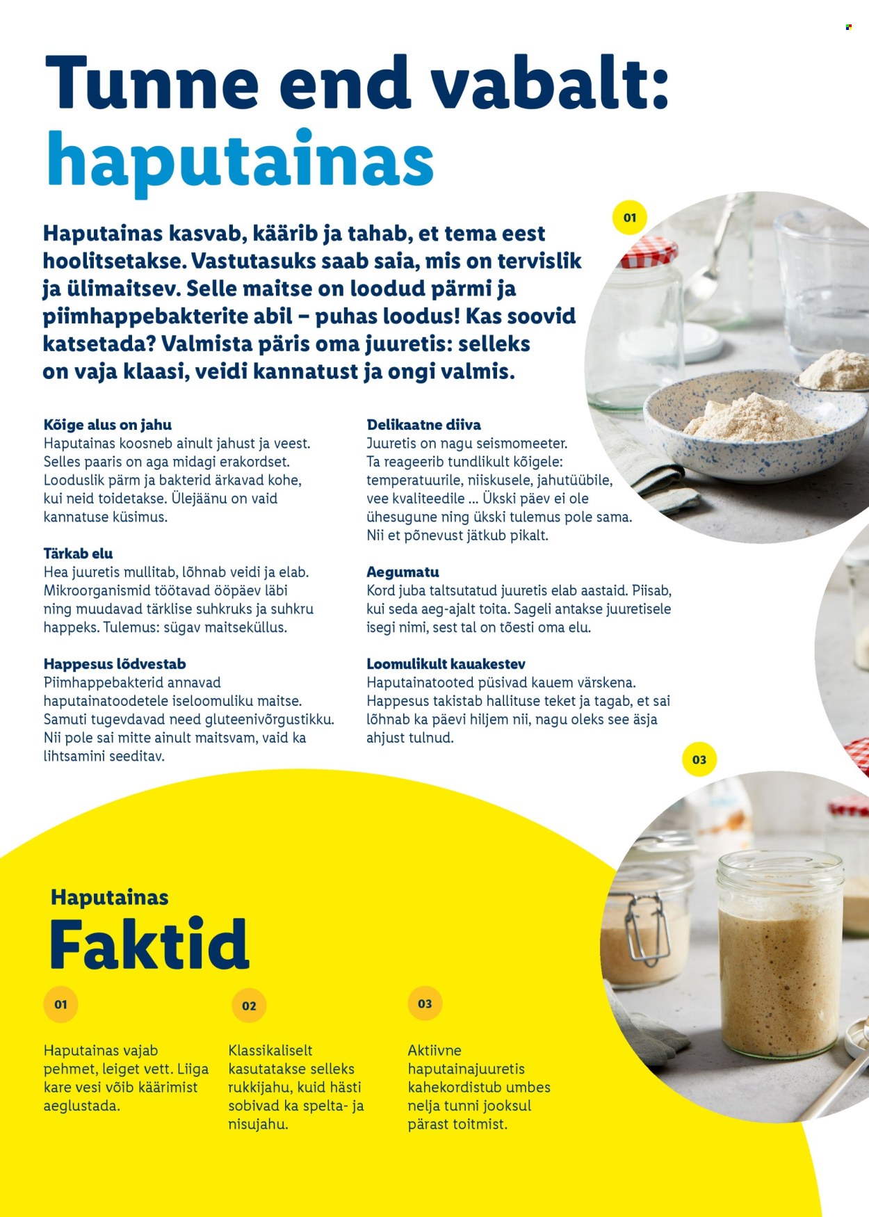 Lidl kliendileht - Rõõmu täis lihavõtted