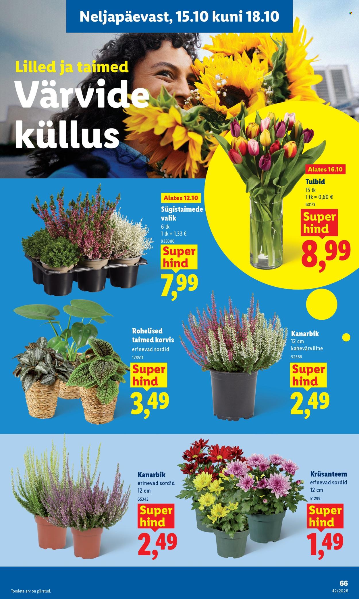 Lidl kliendileht (12.10 - 18.10.2026)