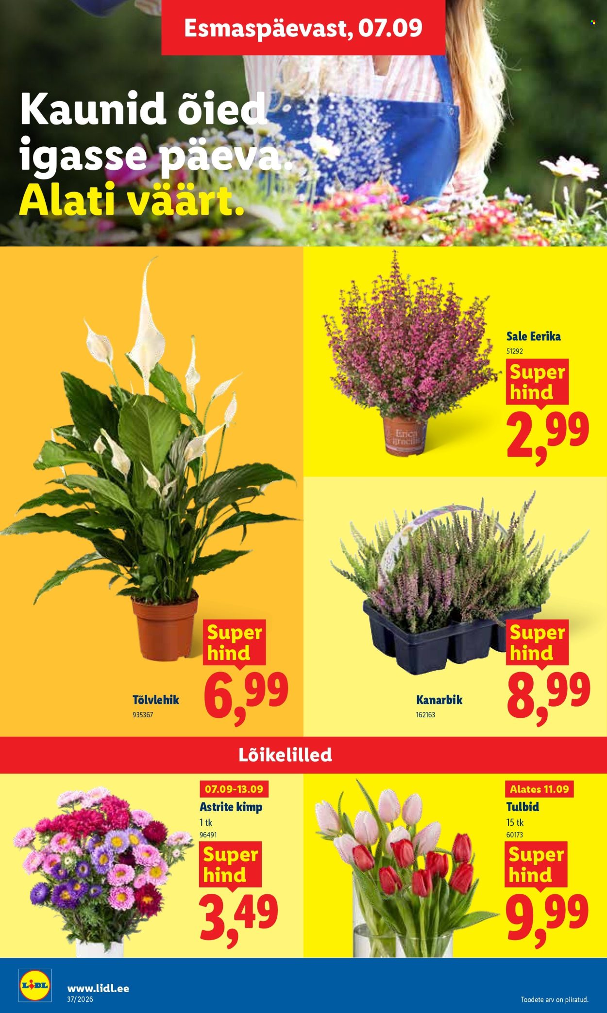 Lidl kliendileht (7.09 - 13.09.2026)