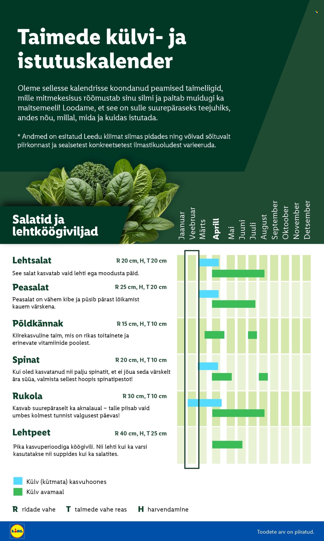 Lidl kliendileht - Aiakataloog (16.02 - 26.02.2026)