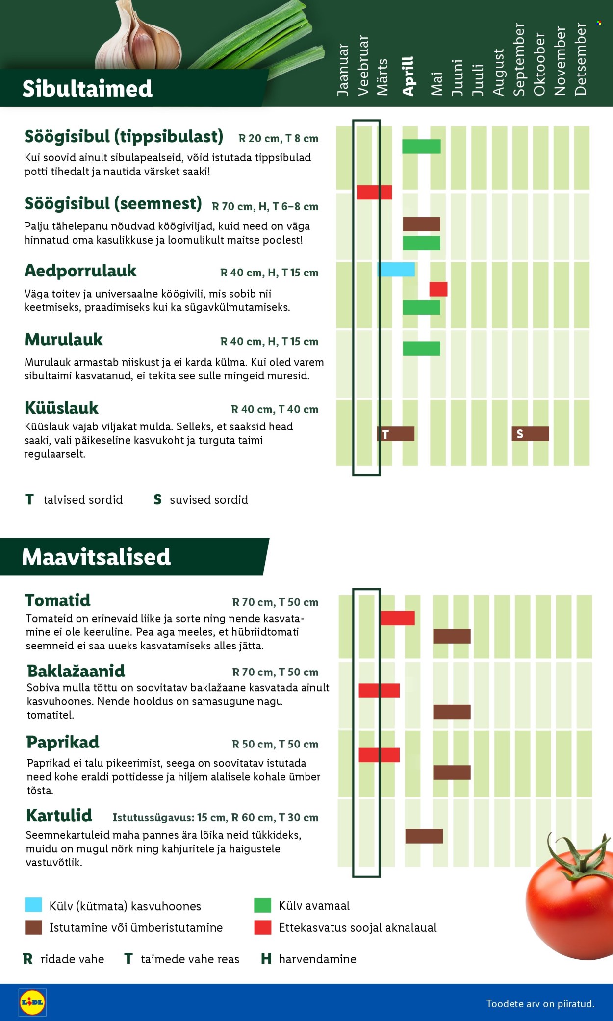 Lidl kliendileht - Aiakataloog (16.02 - 26.02.2026)