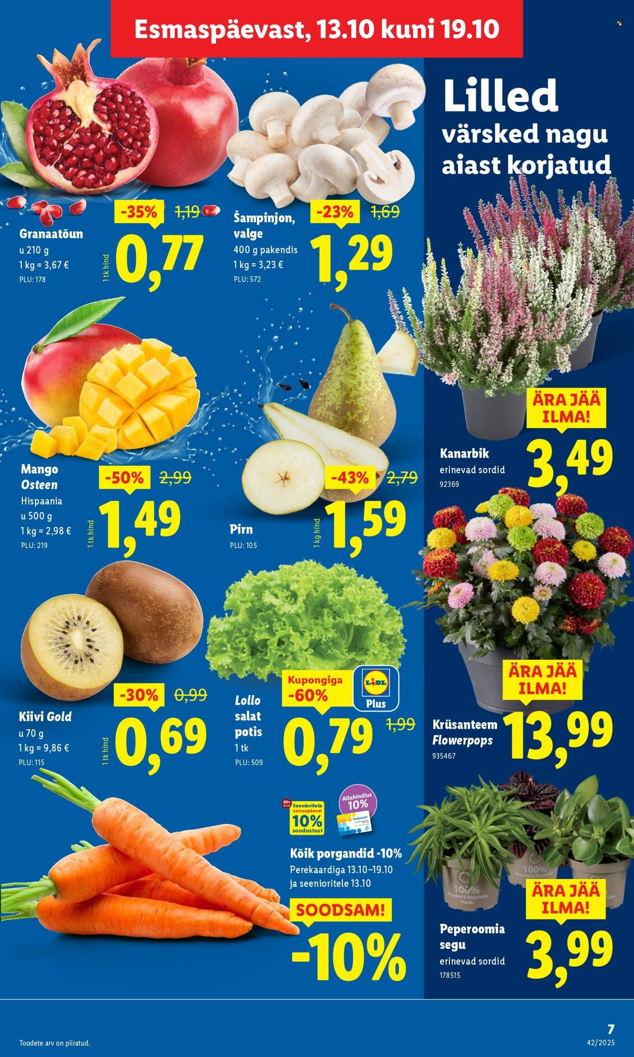 Lidl kliendileht - Kliendileht (13.10 - 19.10.2025)