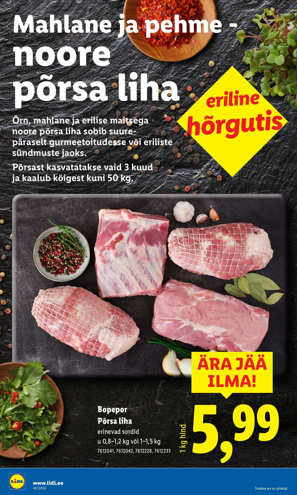 Lidl kliendileht - Kliendileht (13.10 - 19.10.2025)
