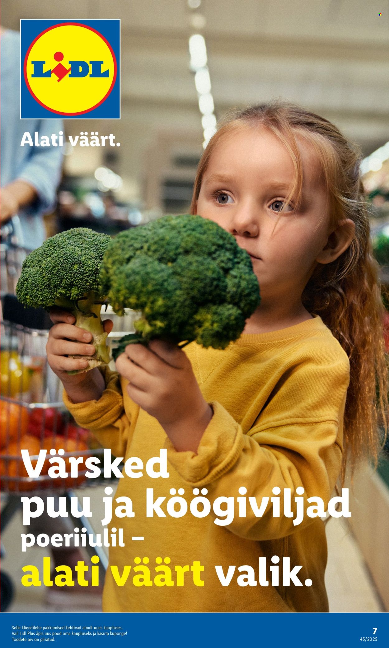 Lidl kliendileht - Viljandi, Riia mnt 1 (3.11 - 9.11.2025)