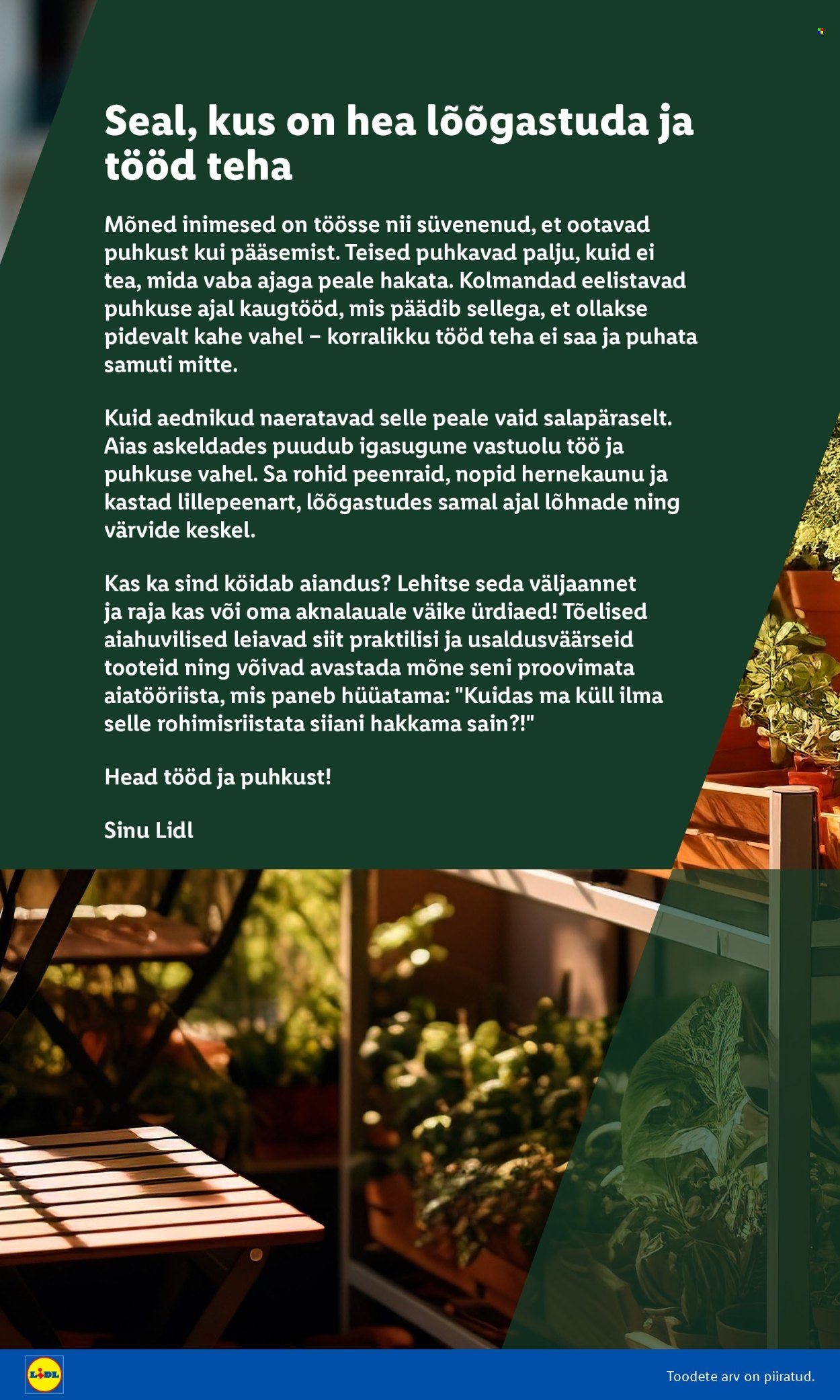 Lidl kliendileht - Aiakataloog Alates