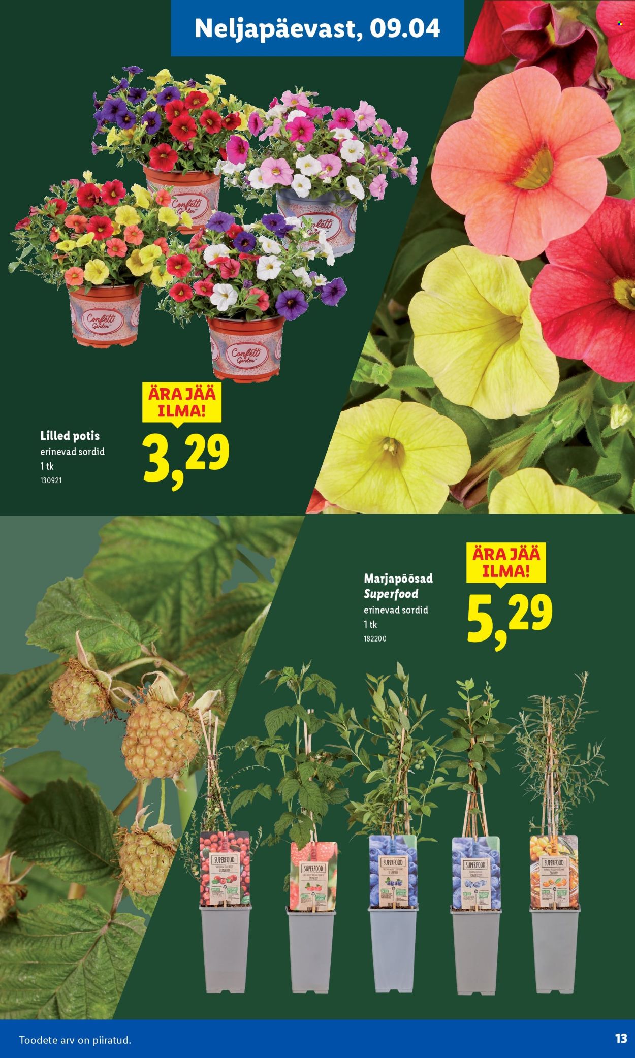 Lidl kliendileht - Aiakataloog Alates