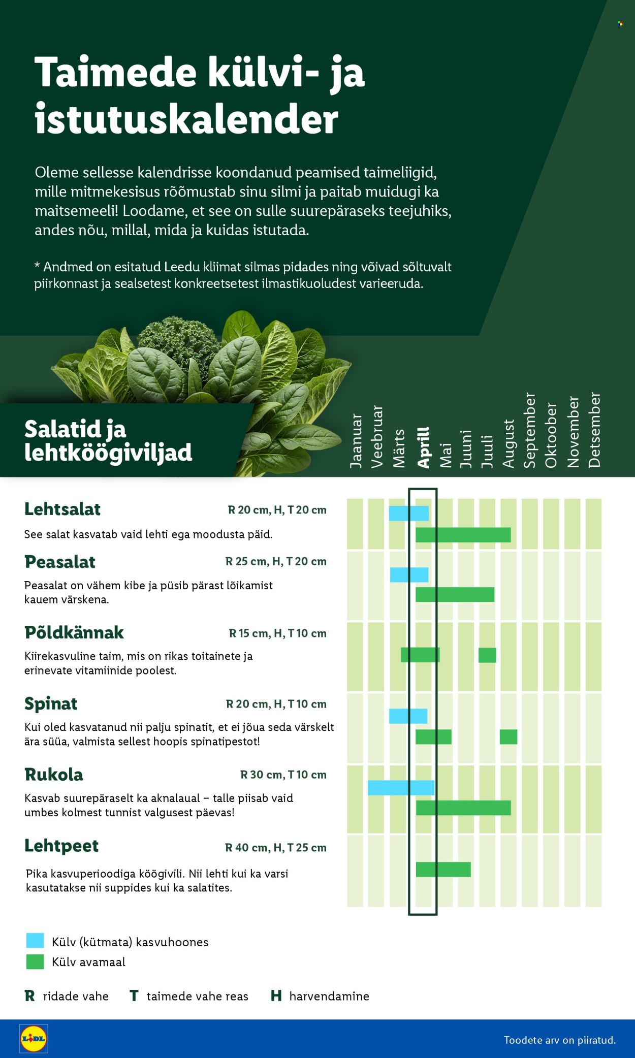 Lidl kliendileht - Aiakataloog Alates