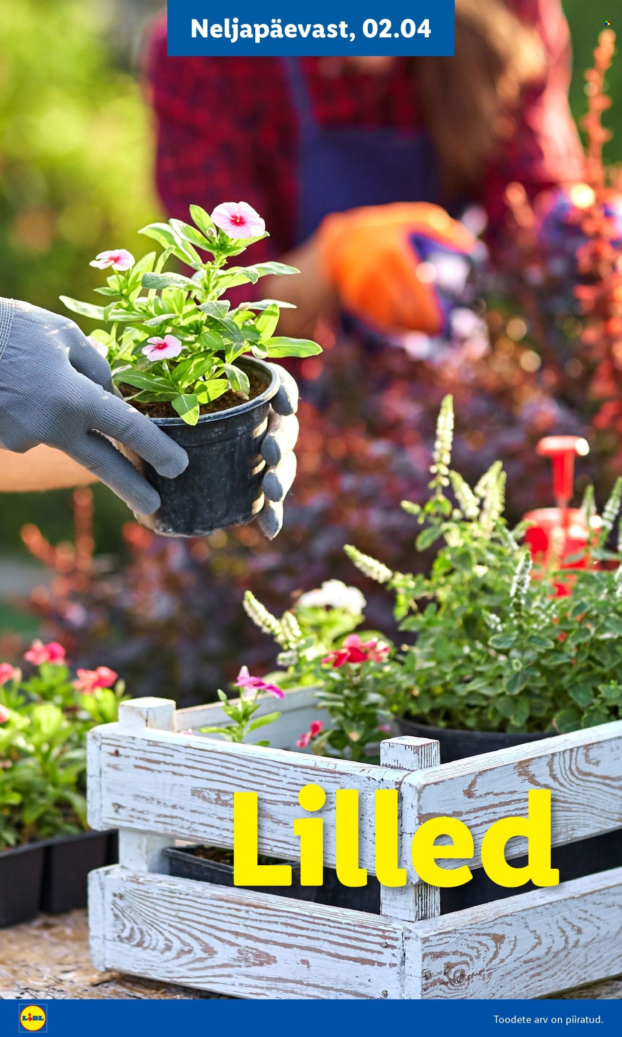 Lidl kliendileht - Aiakataloog Alates