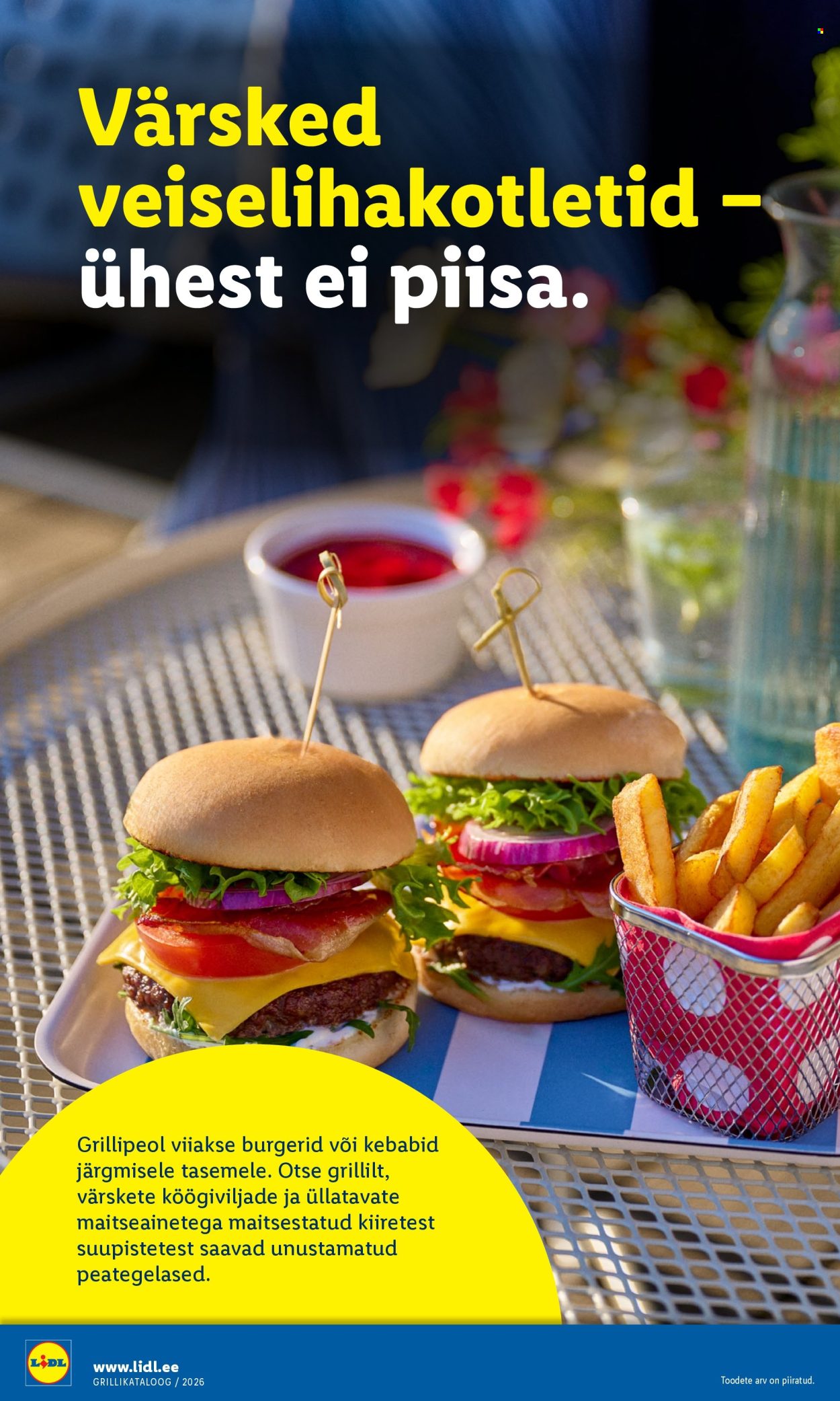 Lidl kliendileht - Grilli kataloog