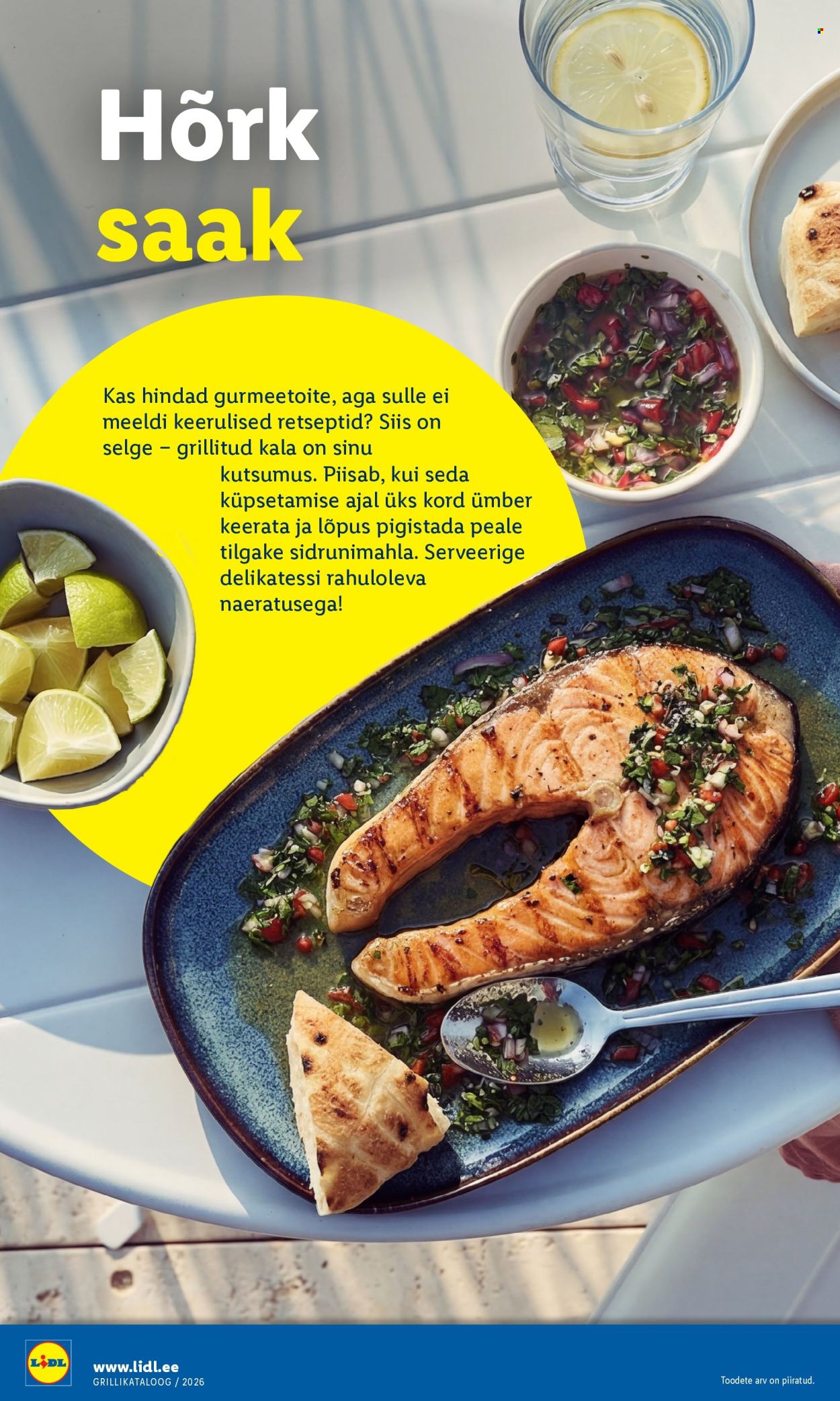 Lidl kliendileht - Grilli kataloog