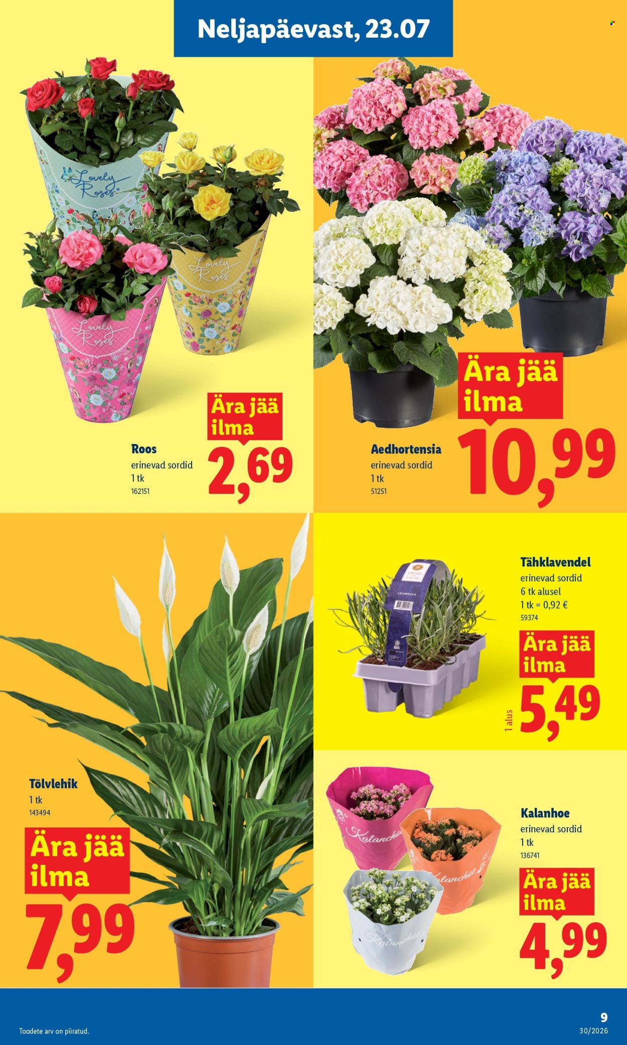Lidl kliendileht (20.07 - 26.07.2026)