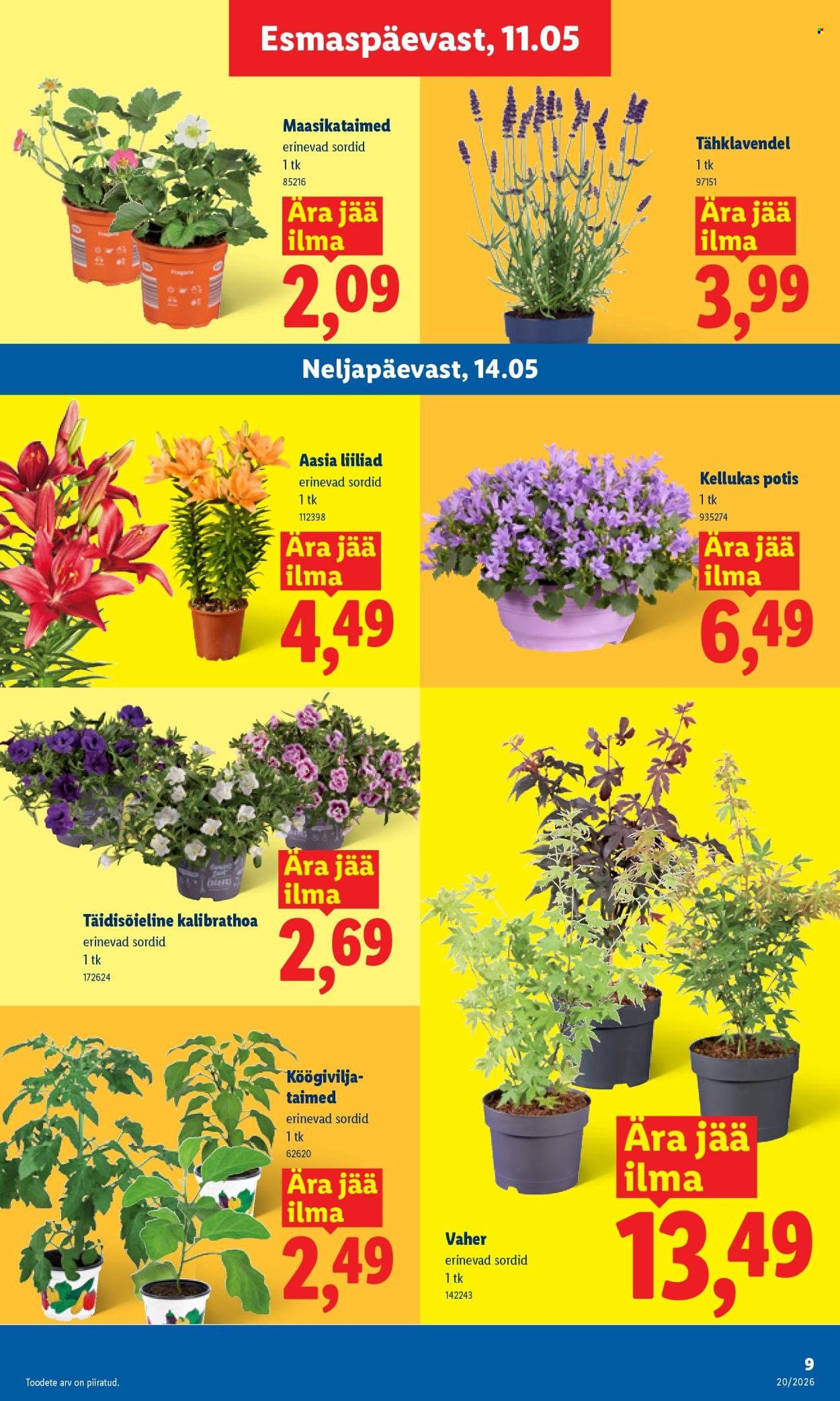 Lidl kliendileht - Kliendileht (11.05 - 17.05.2026)