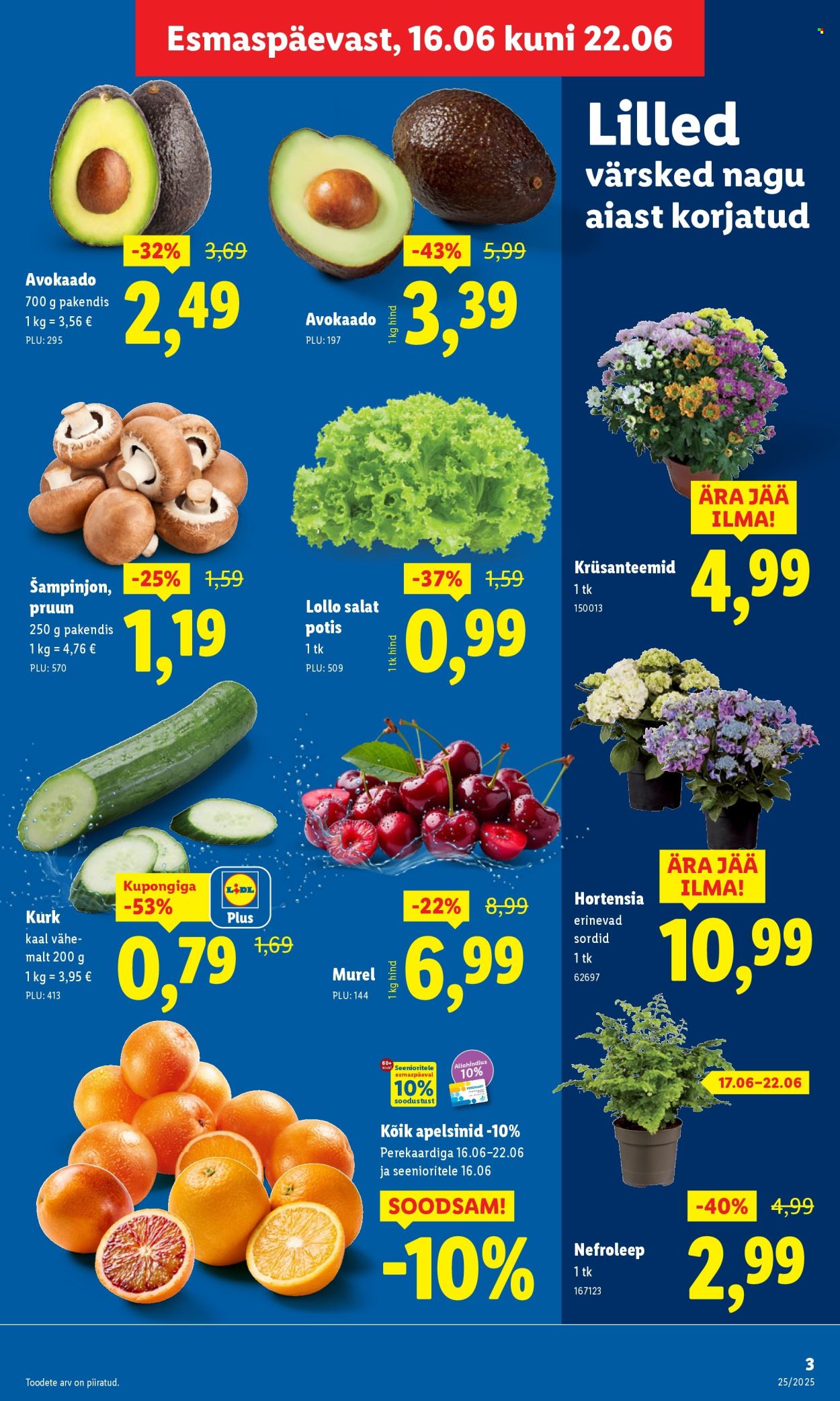 Lidl kliendileht - Nädalalõpu pakkumised (19.06 - 22.06.2025)