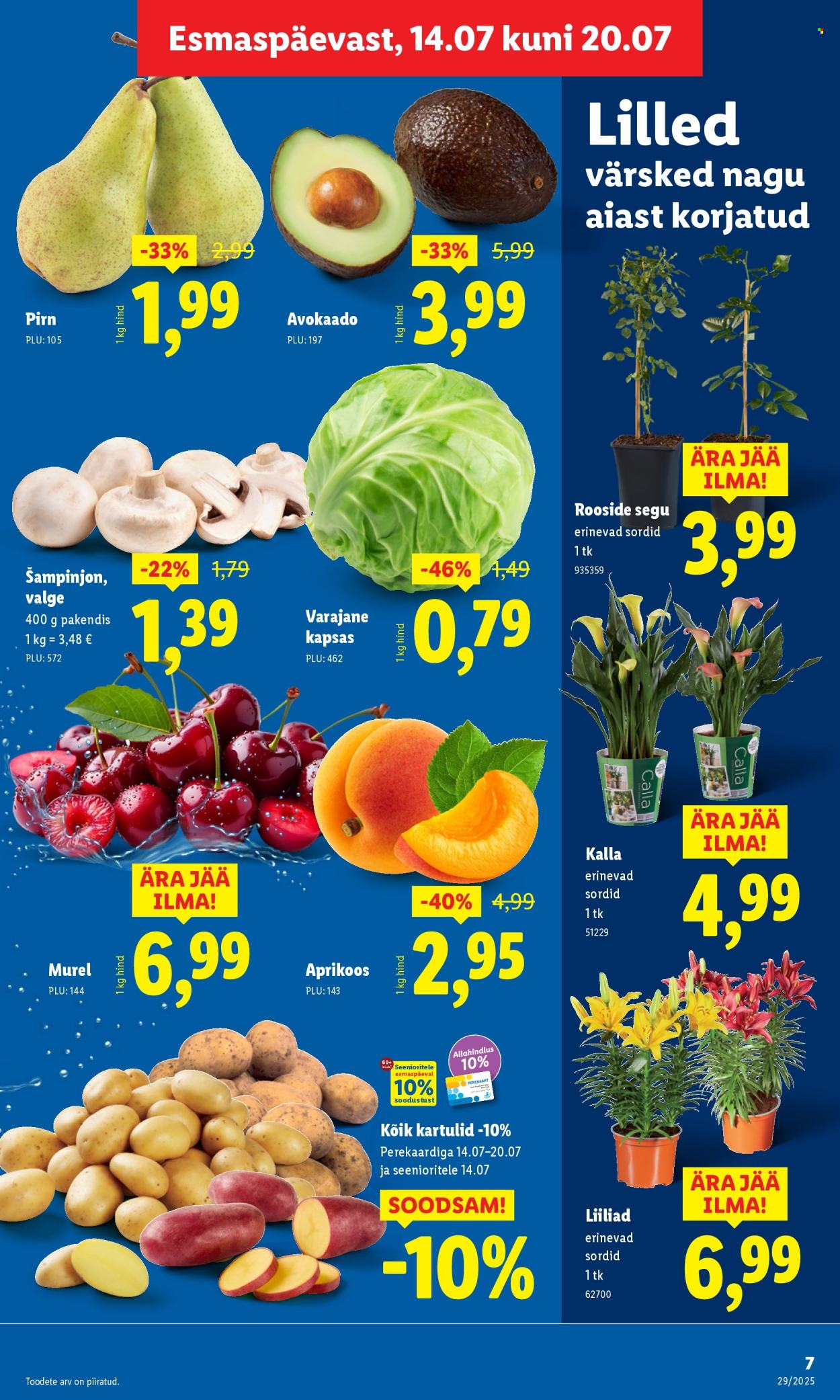Lidl kliendileht - Kliendileht (14.07 - 20.07.2025)