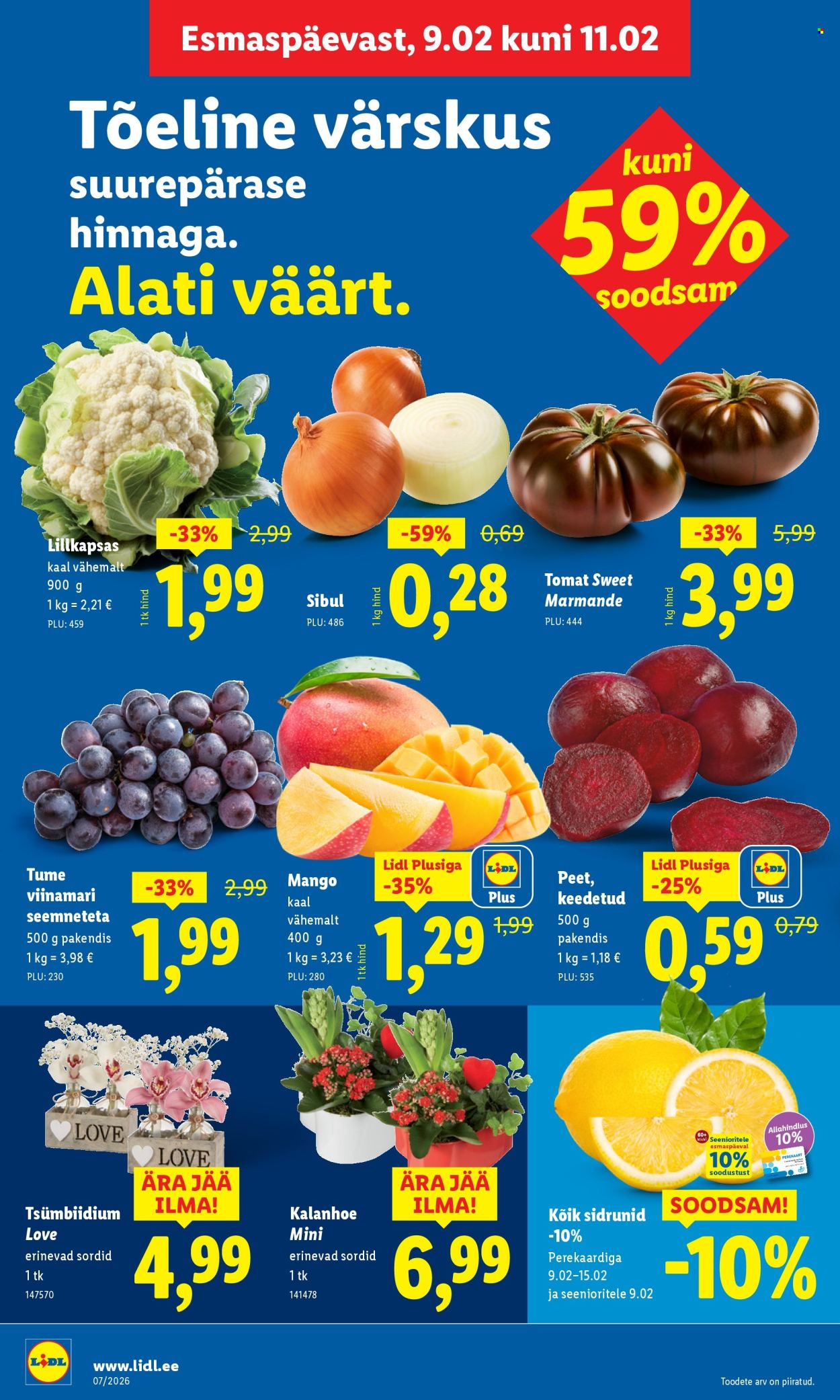 Lidl kliendileht - Kliendileht (9.02 - 15.02.2026)