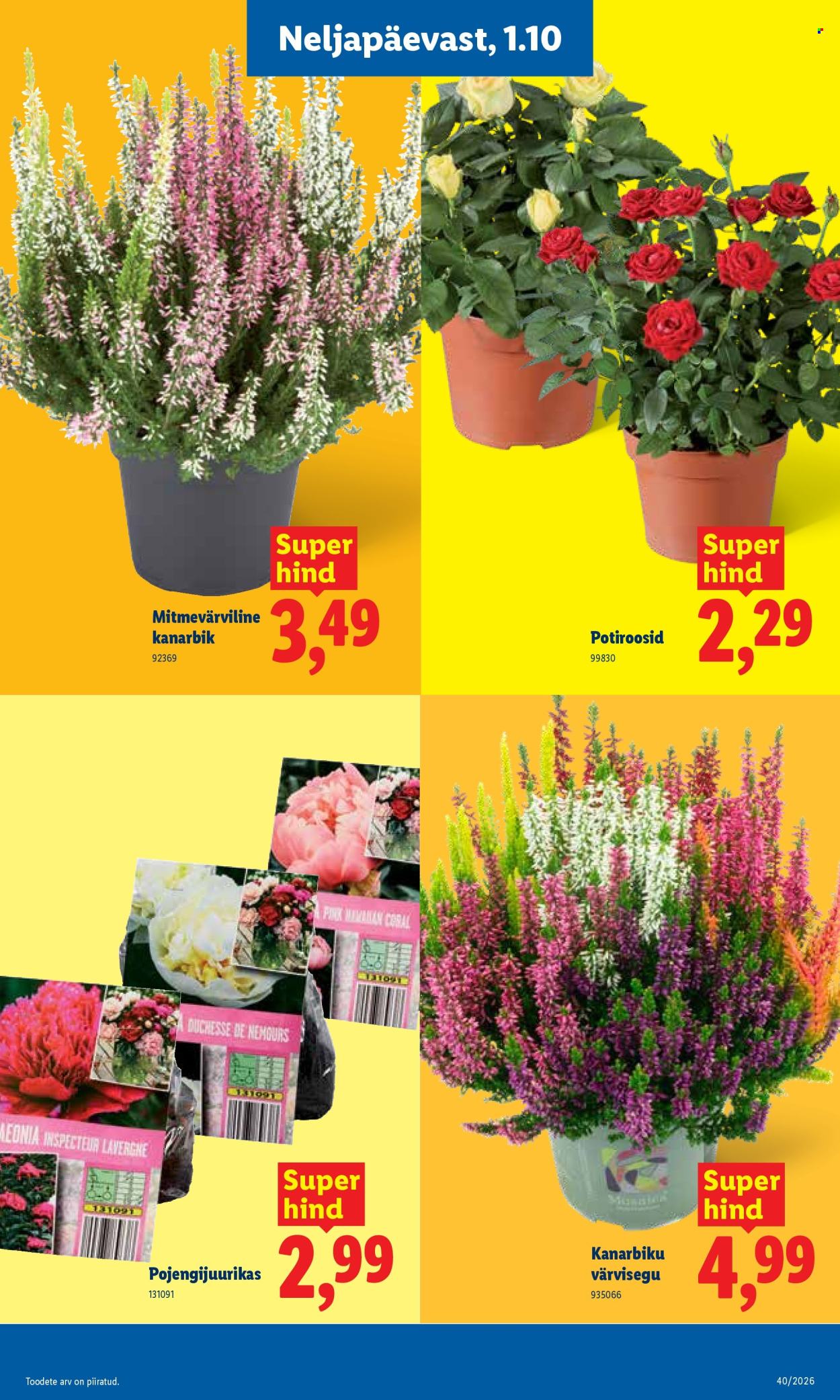 Lidl kliendileht (28.09 - 4.10.2026)