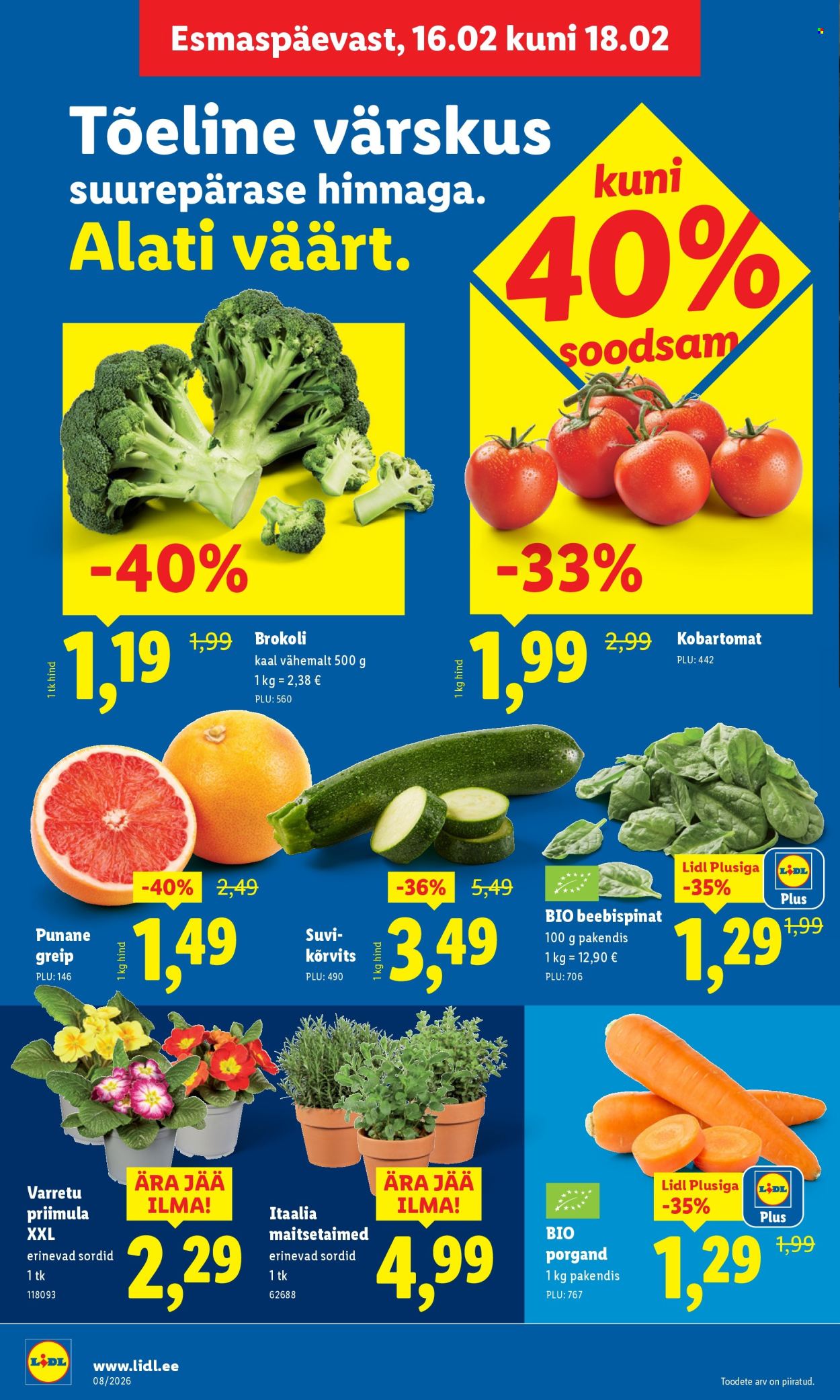 Lidl kliendileht - Kliendileht (16.02 - 22.02.2026)