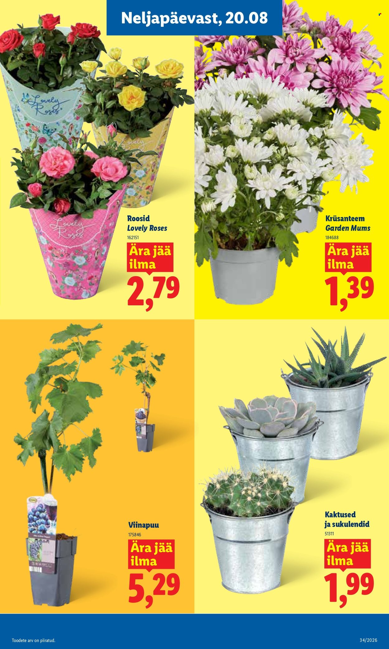 Lidl kliendileht (17.08 - 23.08.2026)