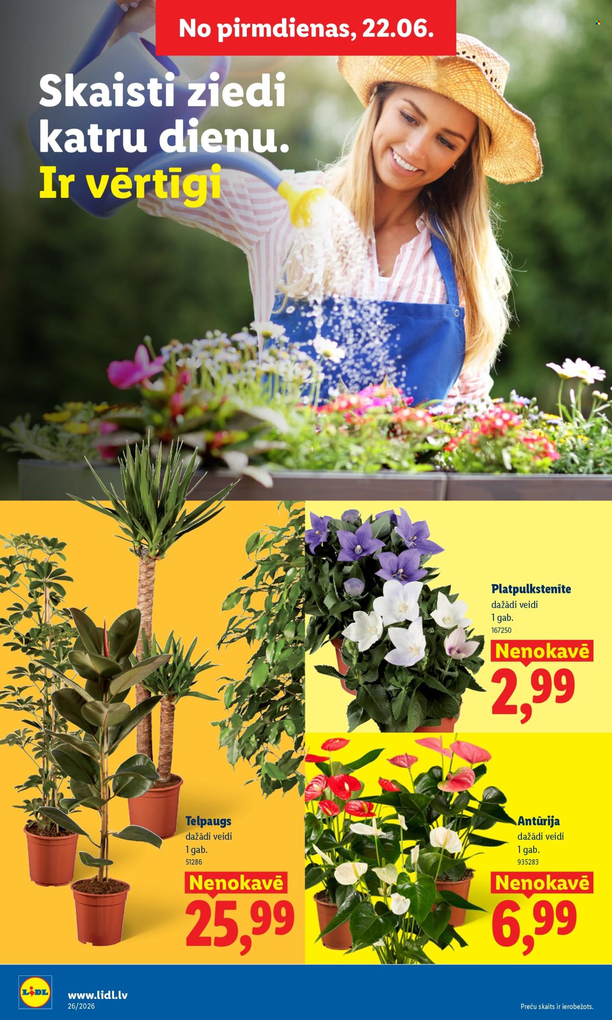 Lidl kliendileht (22.06 - 28.06.2026)