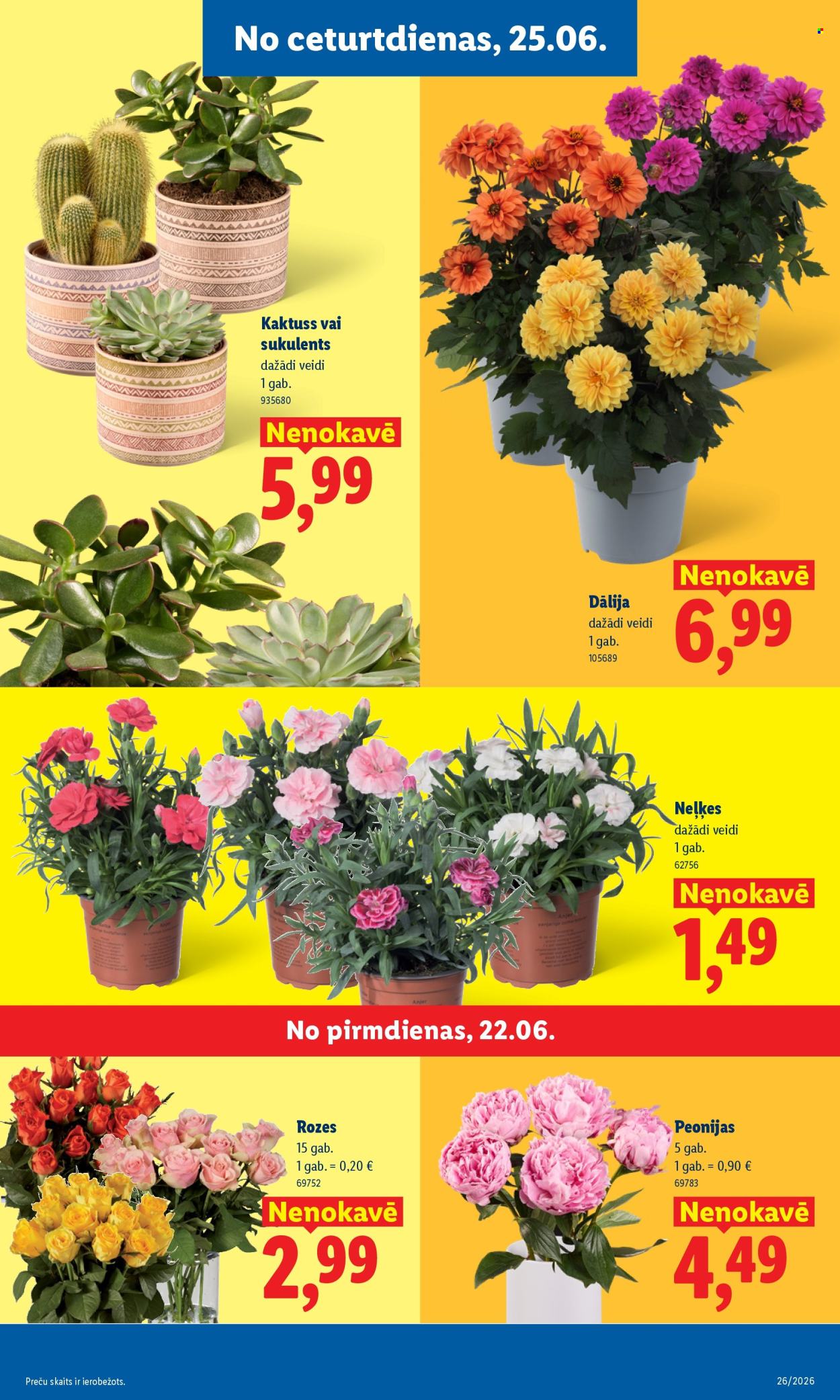 Lidl kliendileht (22.06 - 28.06.2026)