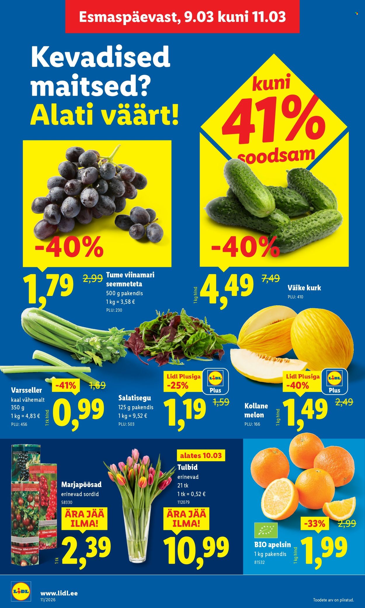 Lidl kliendileht - Kliendileht (9.03 - 15.03.2026)
