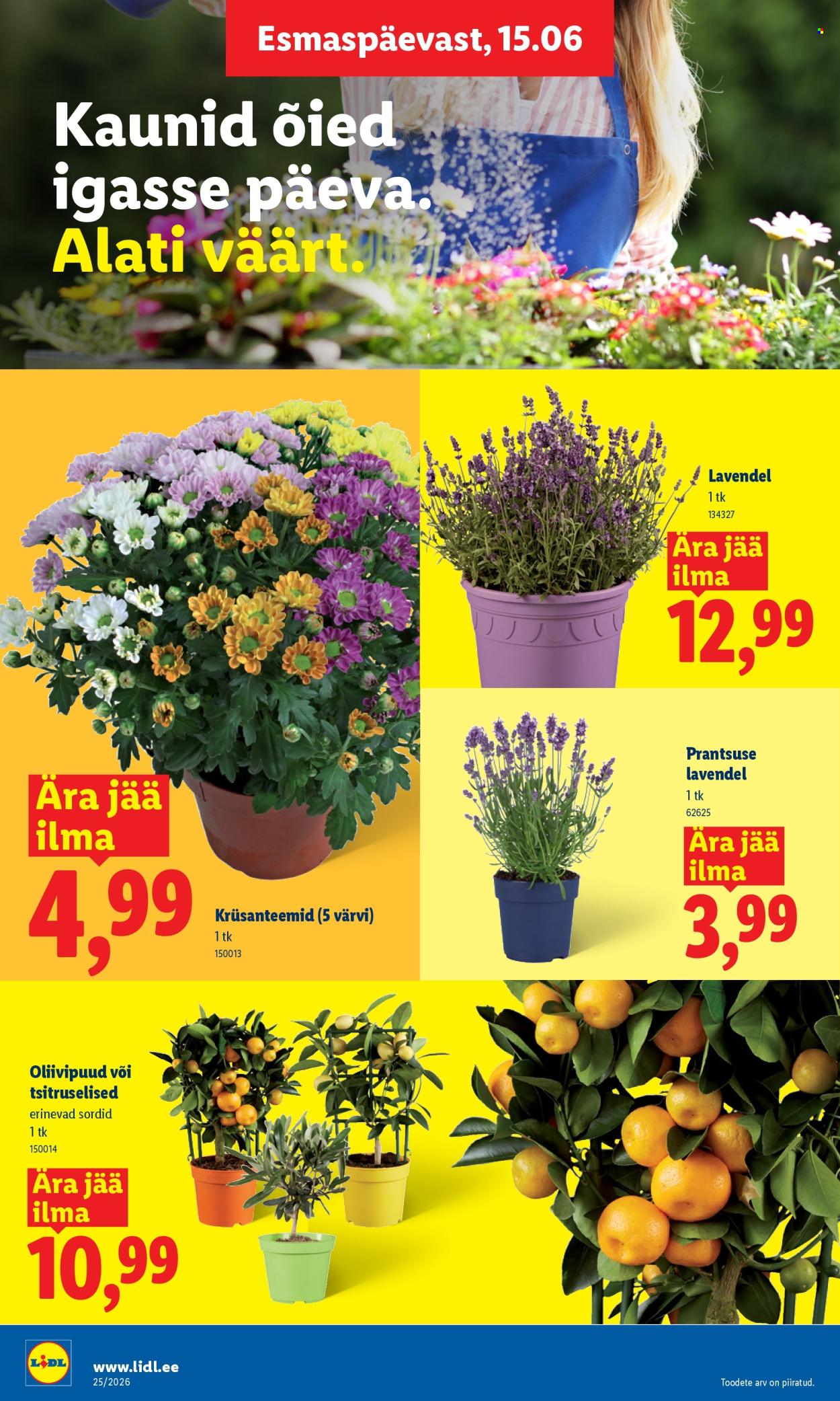Lidl kliendileht (15.06 - 21.06.2026)