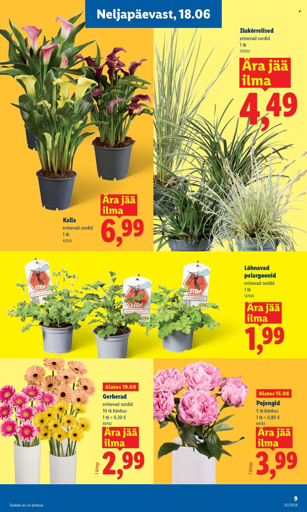Lidl kliendileht (15.06 - 21.06.2026)
