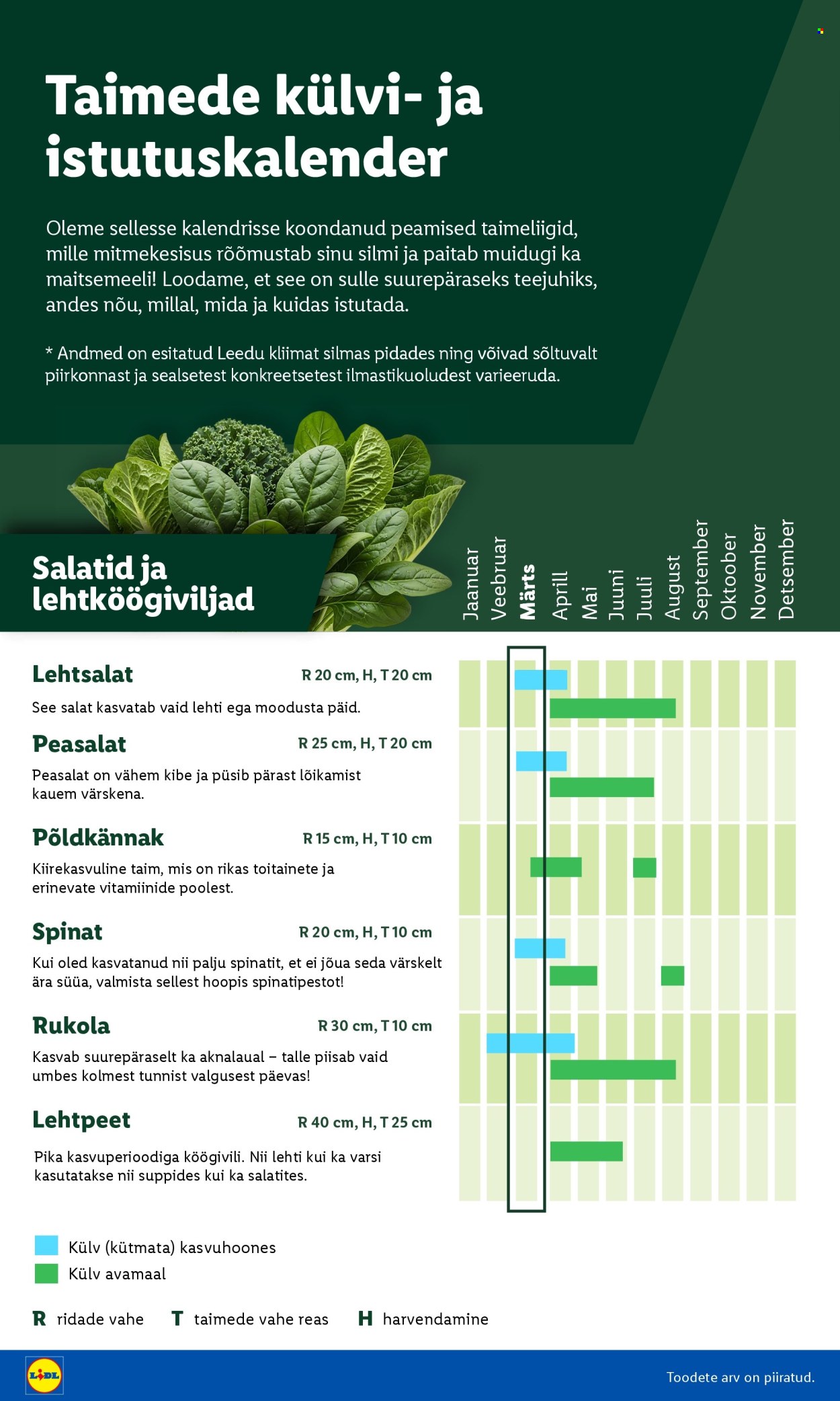 Lidl kliendileht - Aiakataloog