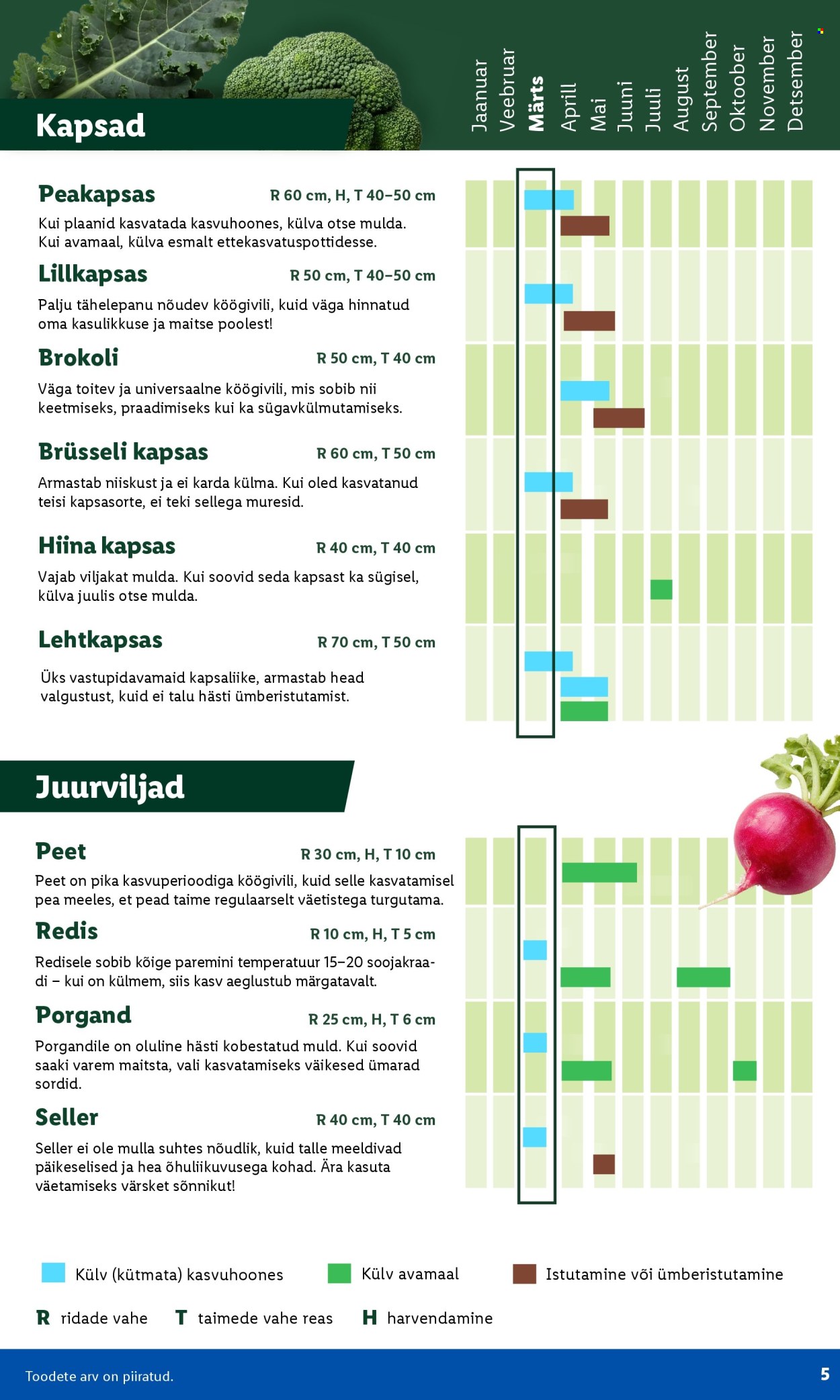 Lidl kliendileht - Aiakataloog