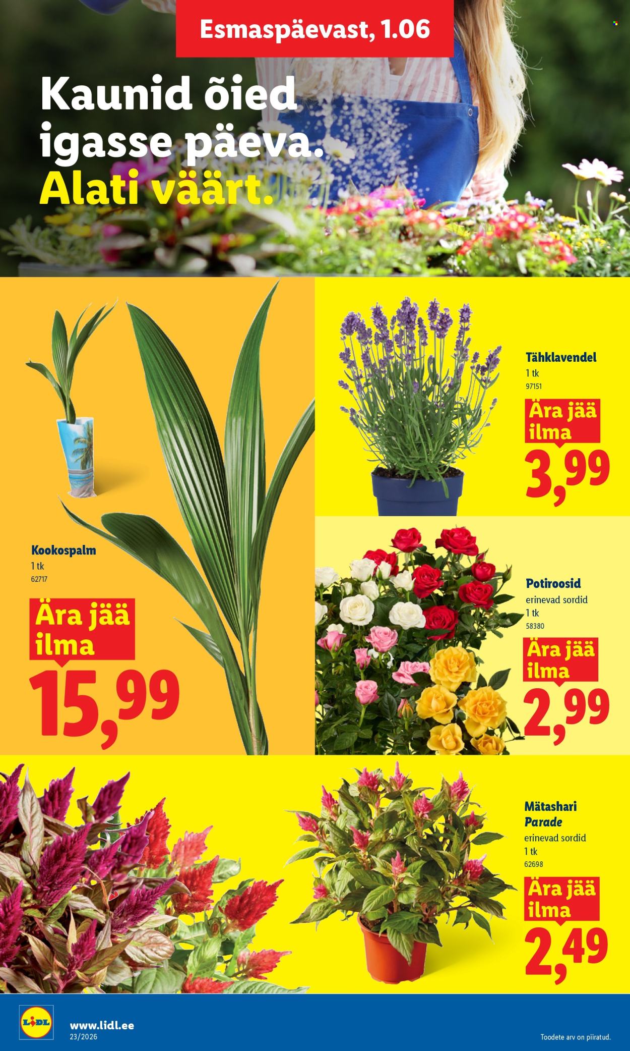 Lidl kliendileht - Kliendileht (1.06 - 7.06.2026)