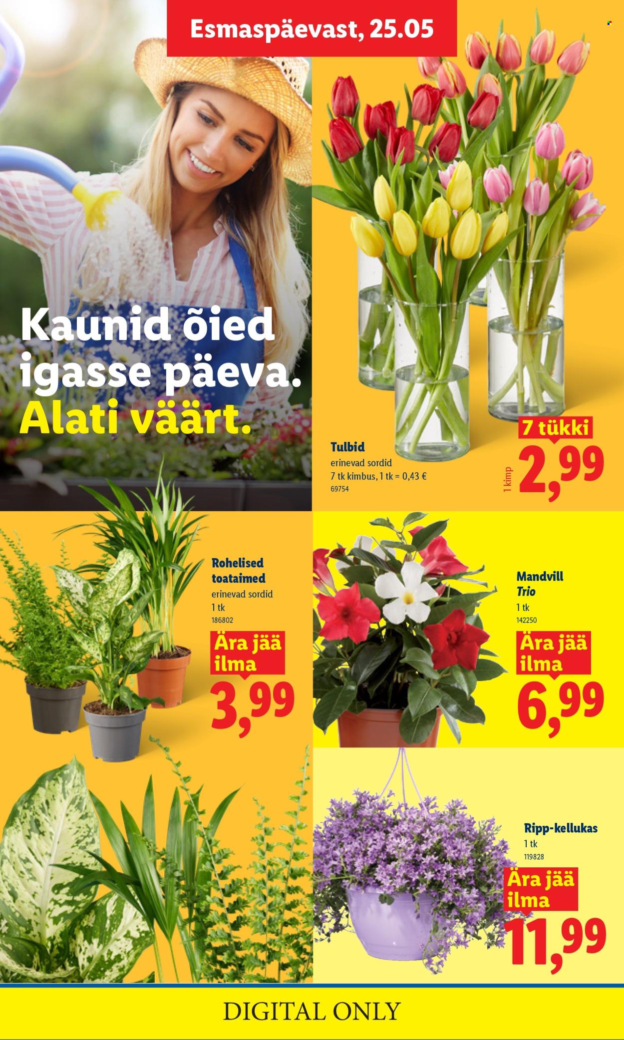 Lidl kliendileht - Kliendileht (25.05 - 31.05.2026)