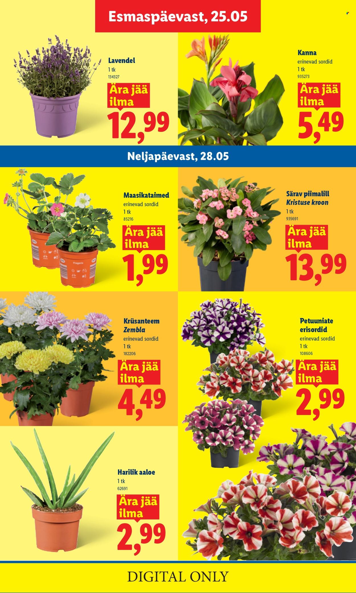 Lidl kliendileht - Kliendileht (25.05 - 31.05.2026)